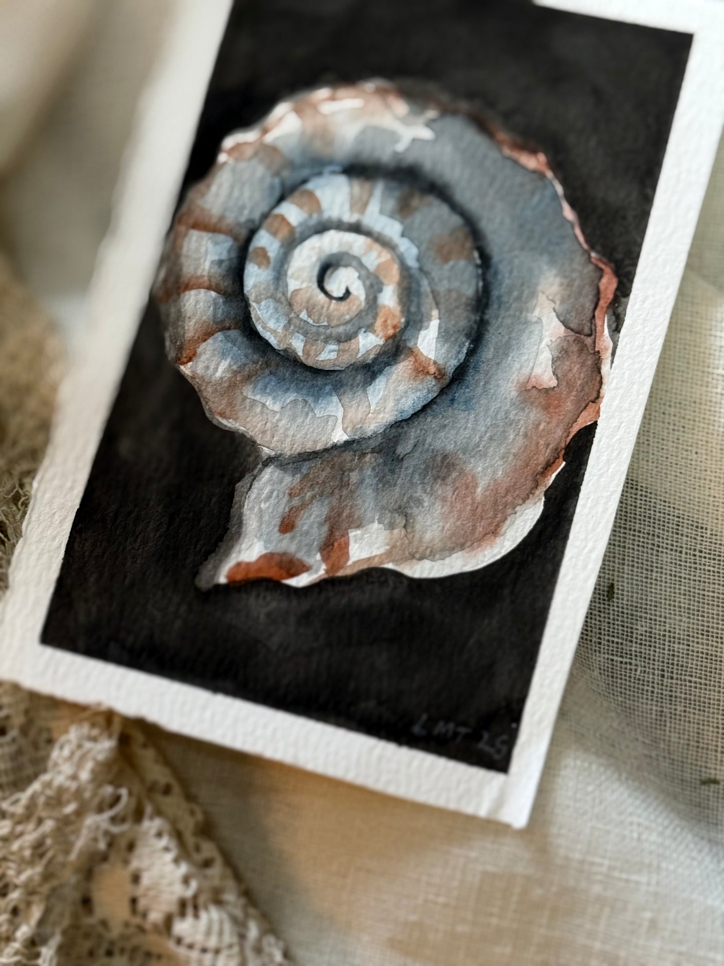 Water Colour; Nautilus - unframed - Linda Titow