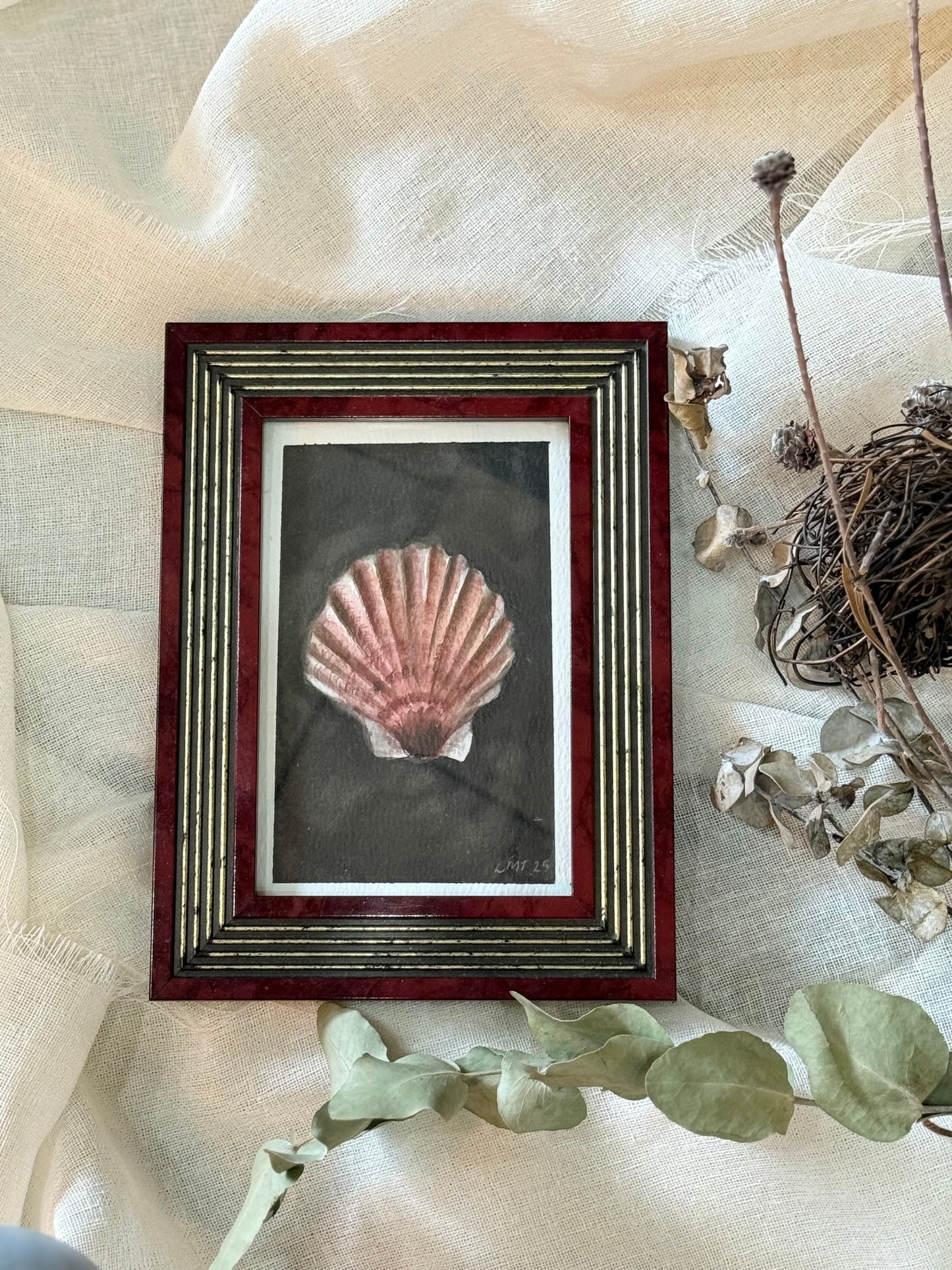 Water Colour; Scallop Shell - Linda Titow