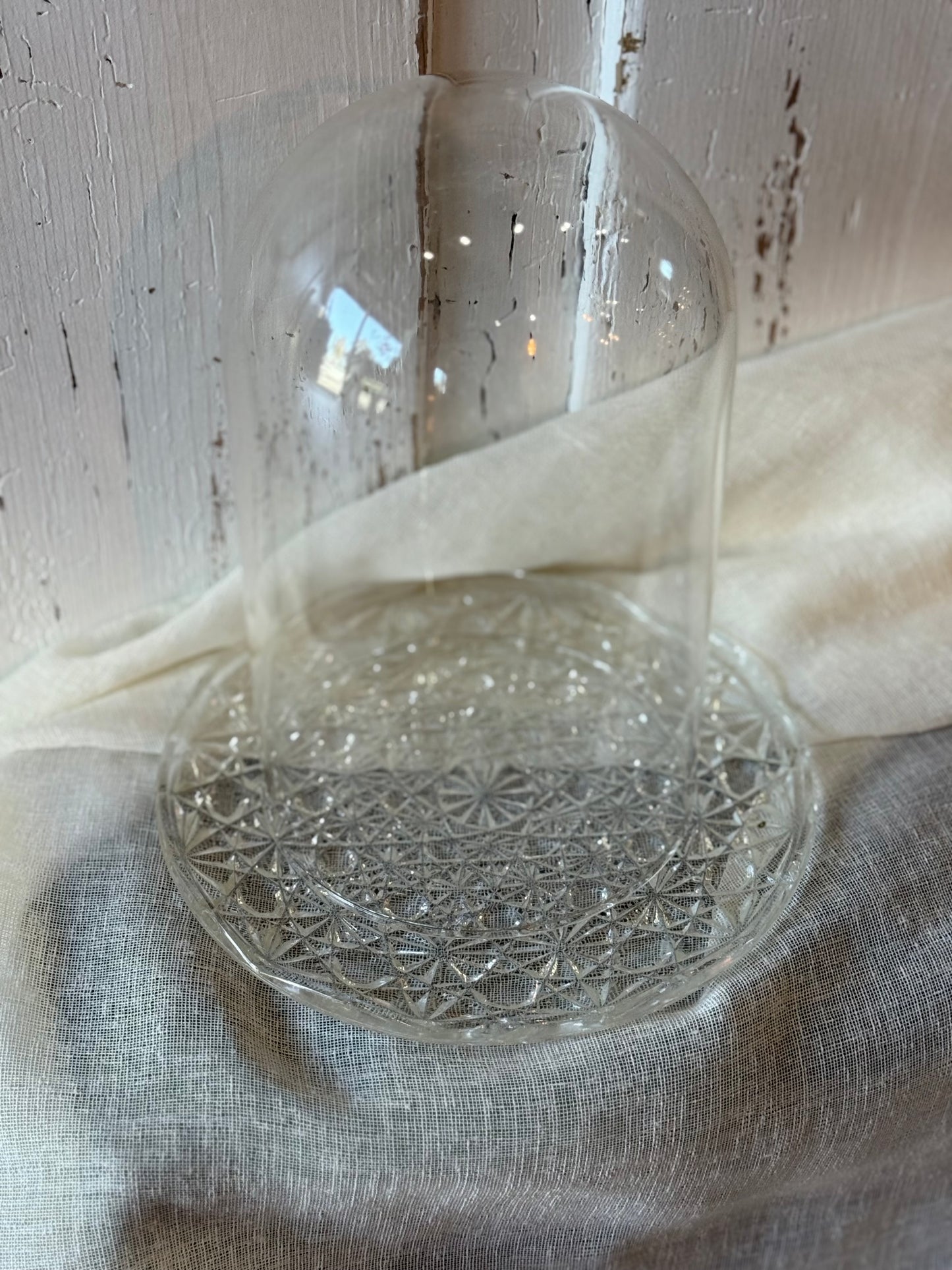 Glass Dome and Plate
