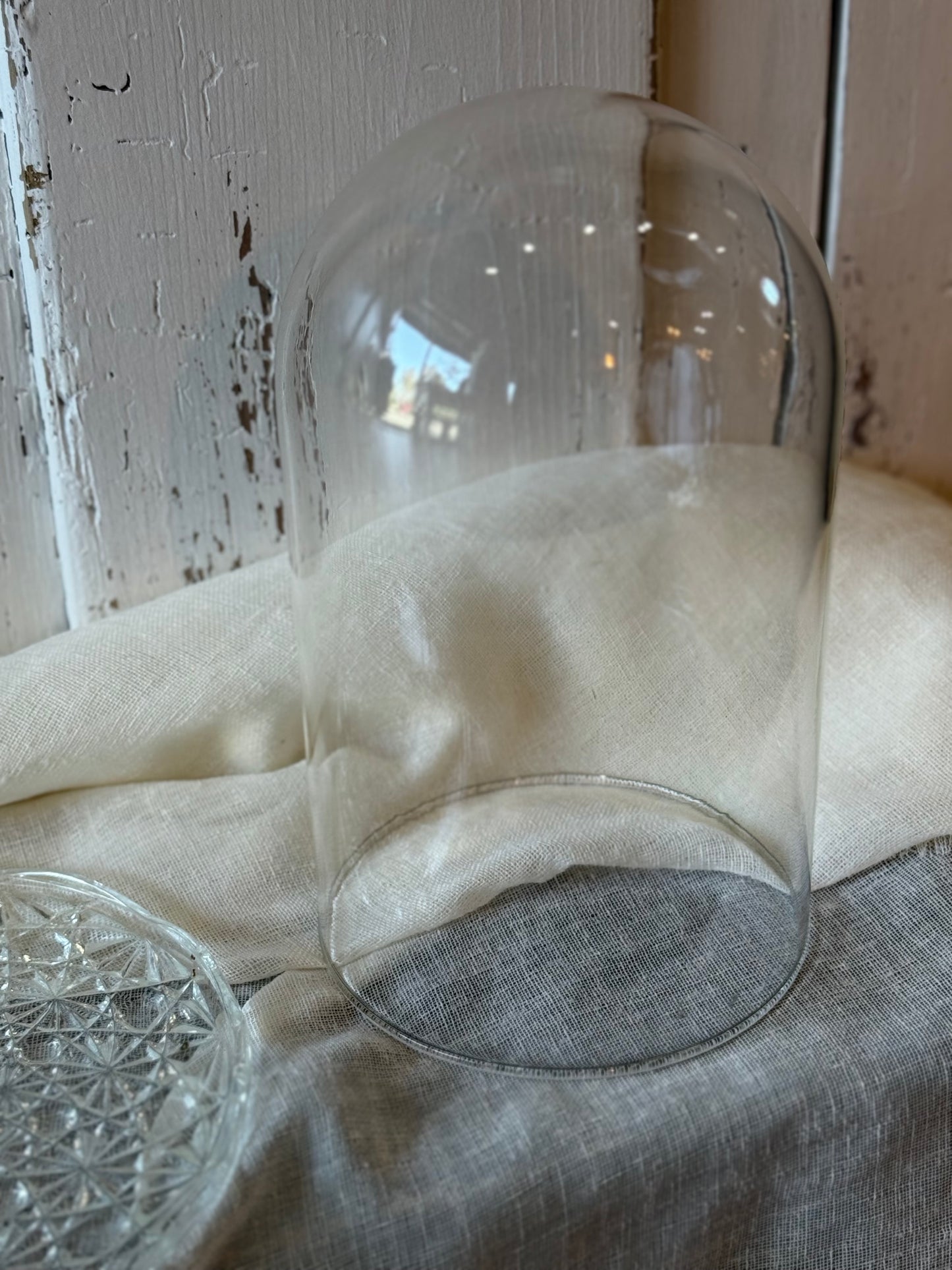 Glass Dome and Plate