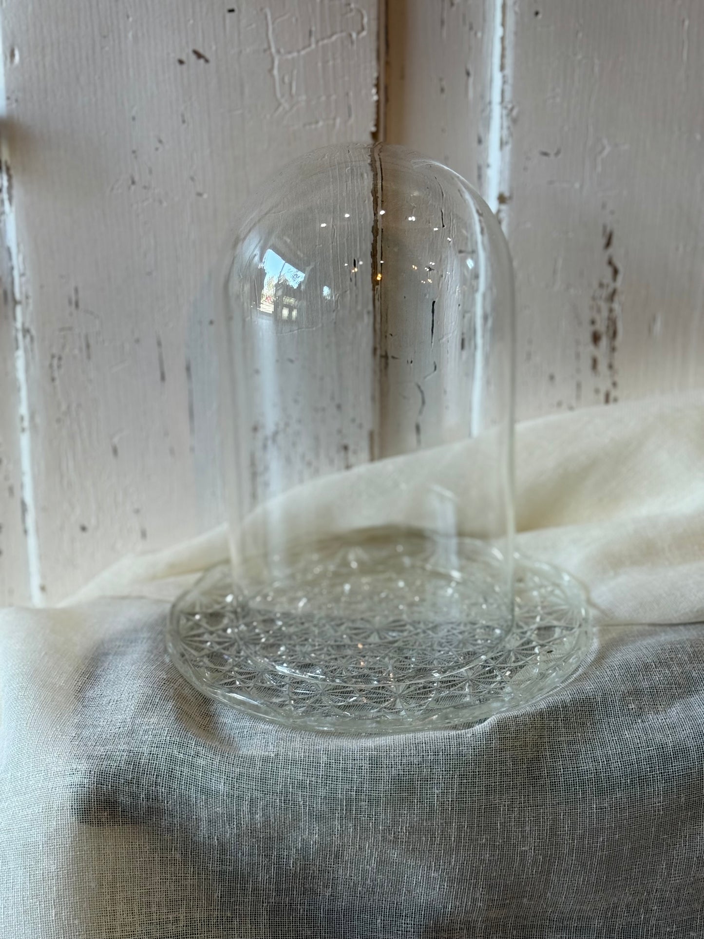 Glass Dome and Plate