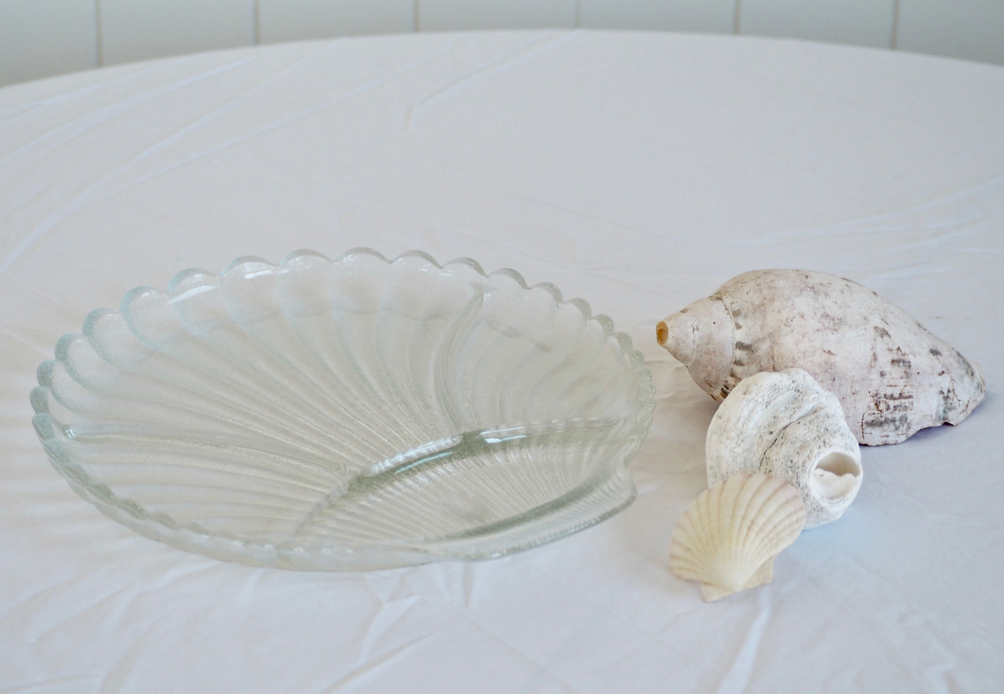 Clam Shell Platter - sectioned