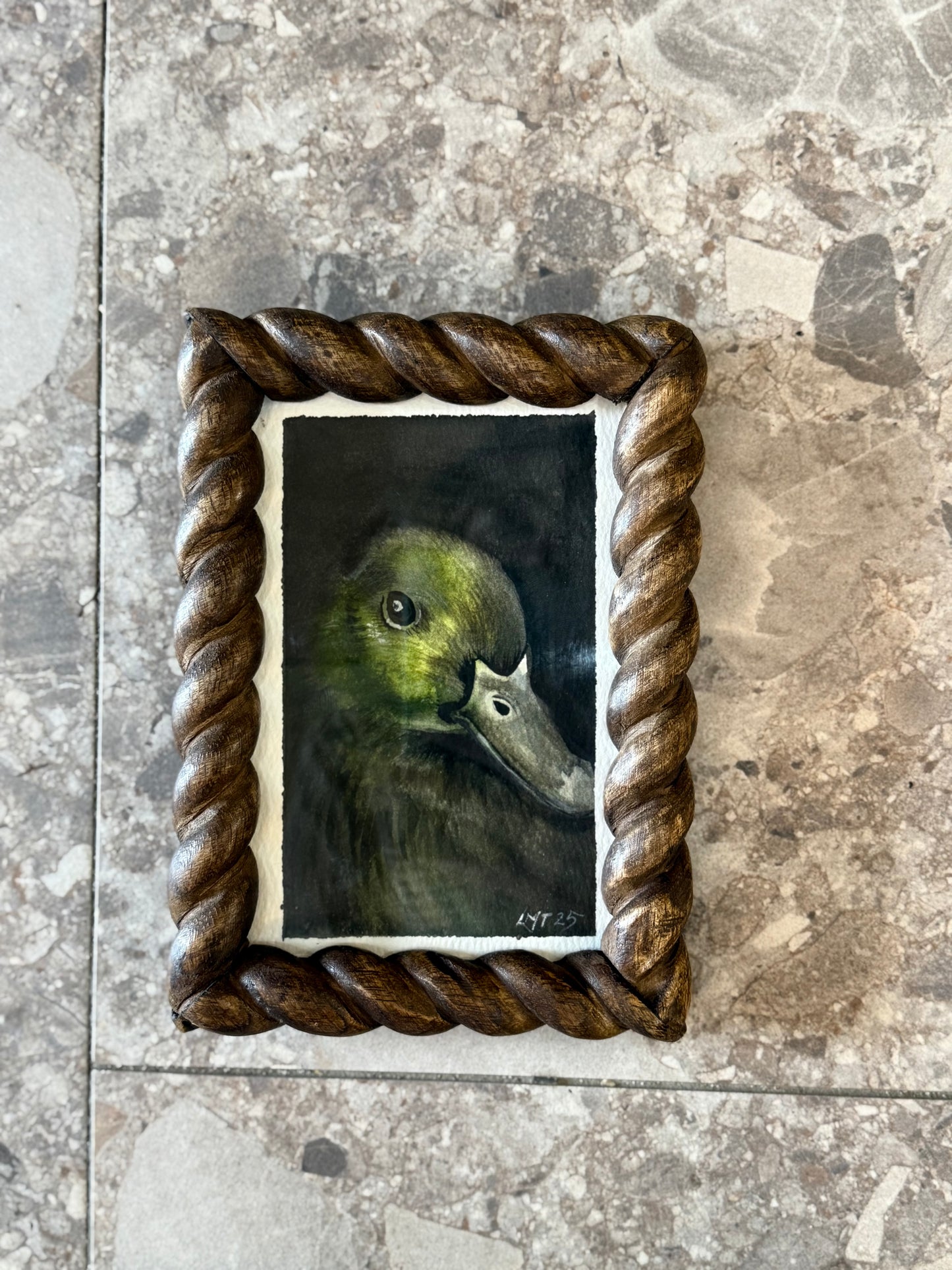 Water Colour; Darling Duck - framed - Linda Titow