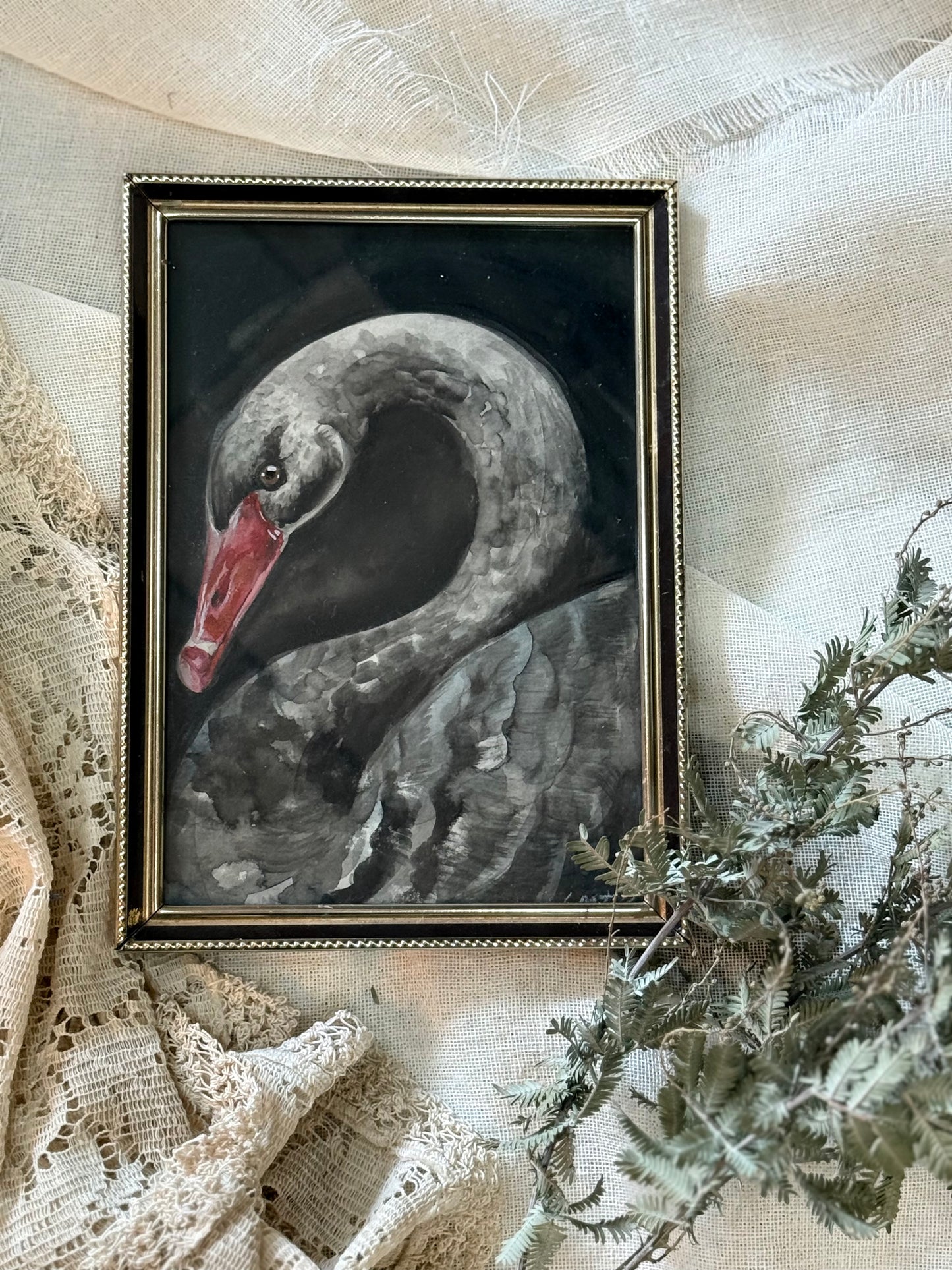 Water Colour; Black Swan - Linda Titow