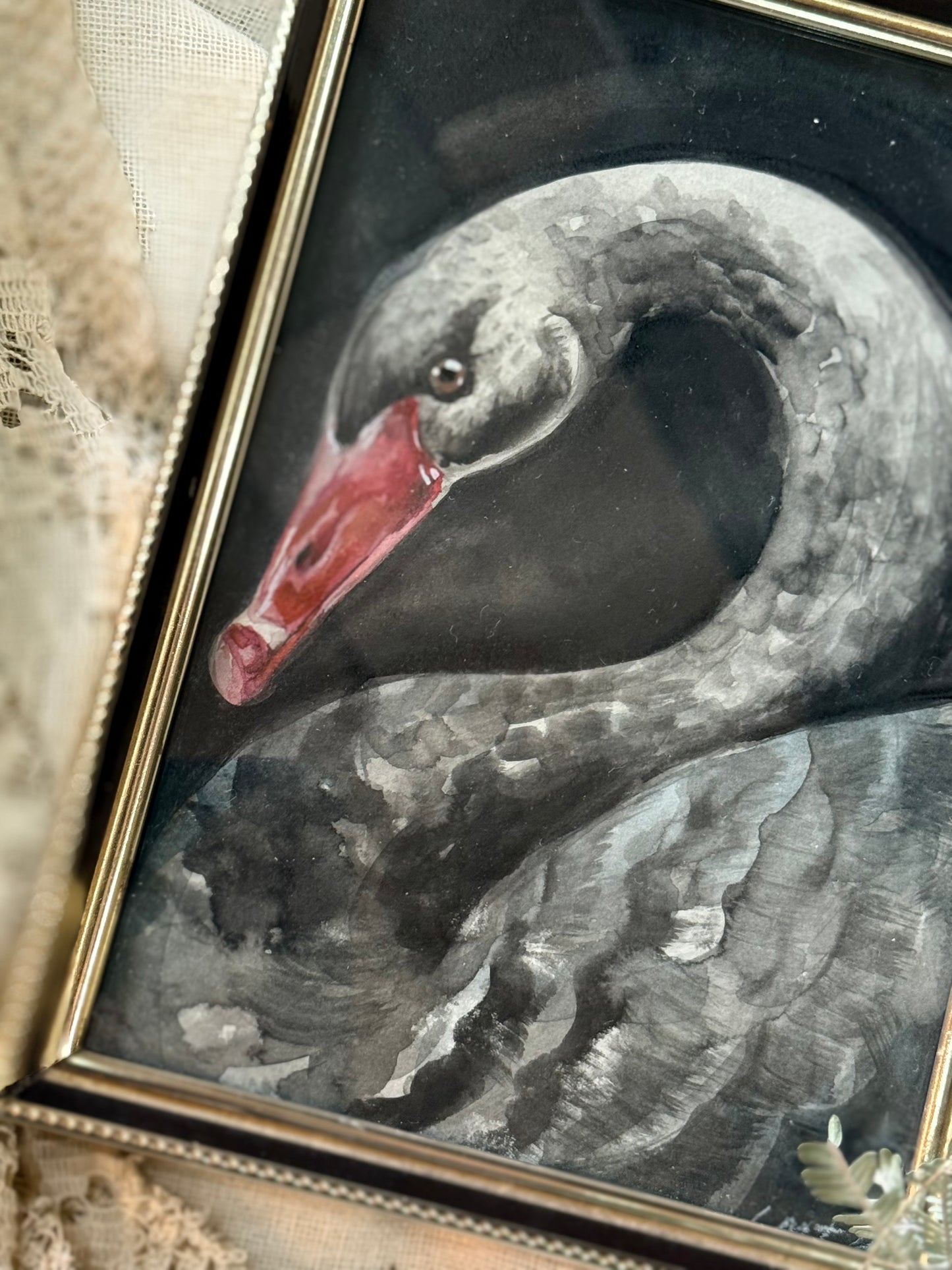 Water Colour; Black Swan - Linda Titow