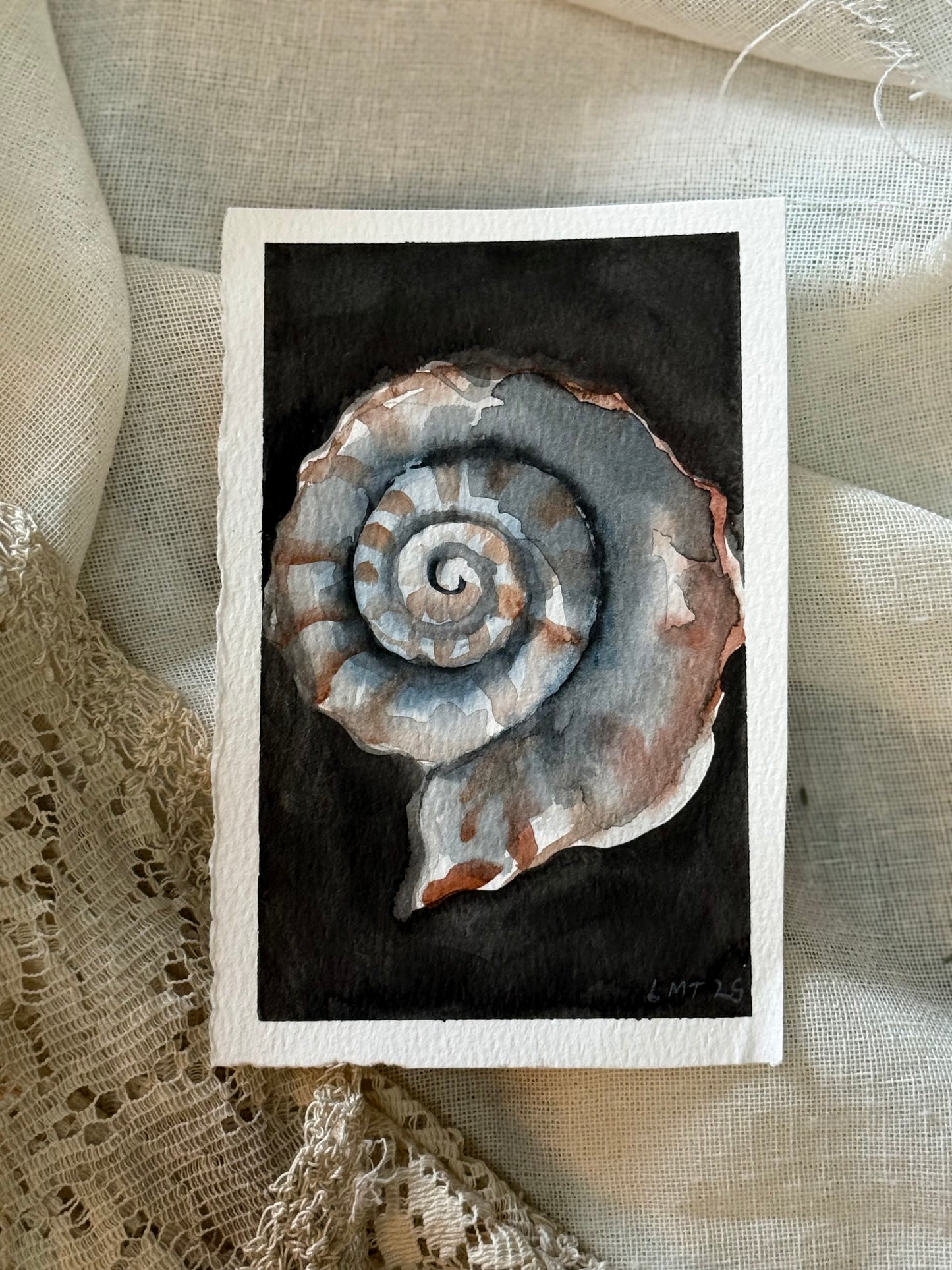 Water Colour; Nautilus - unframed - Linda Titow