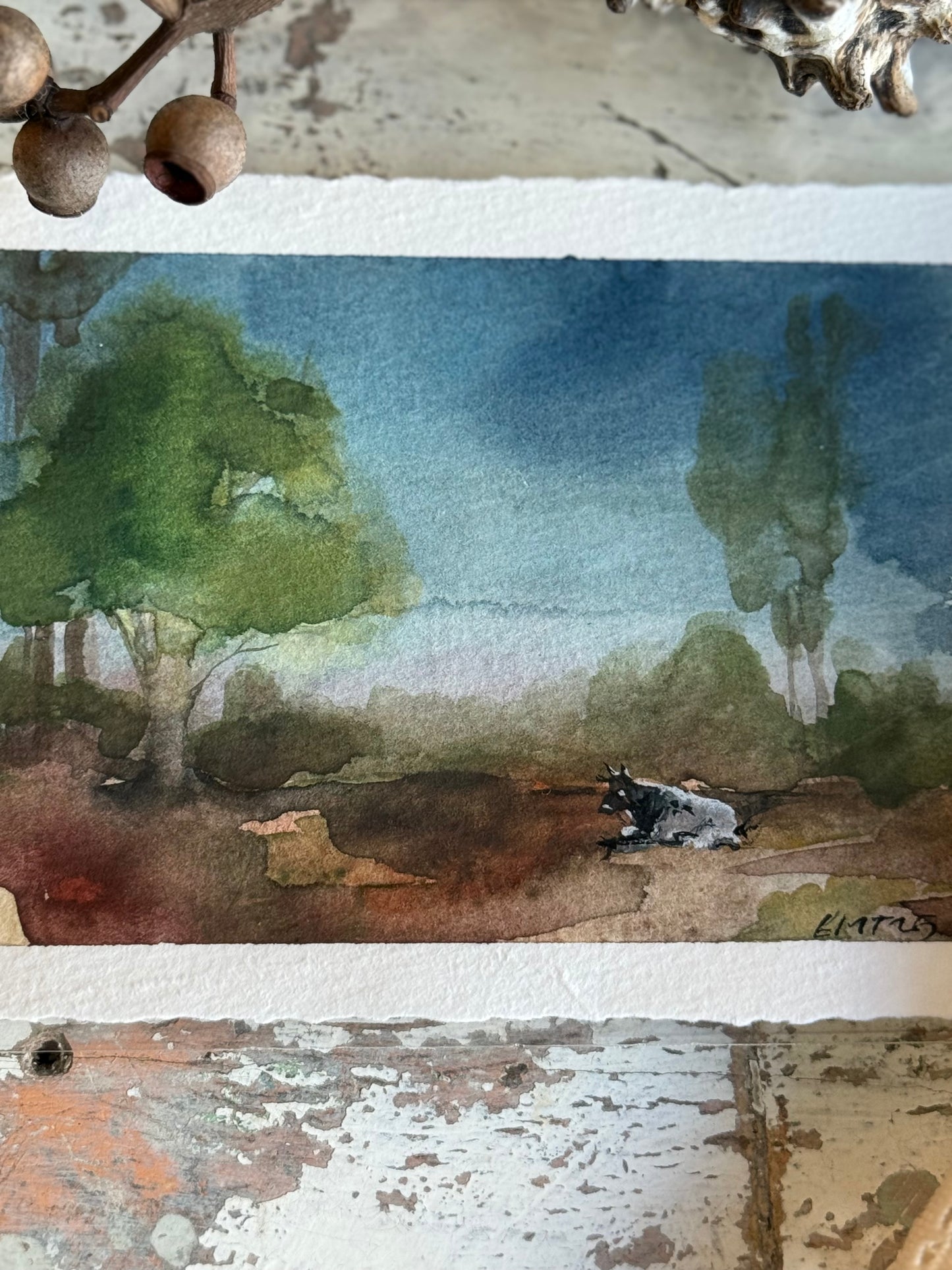 Water Colour; Resting Cow - unframed - Linda Titow