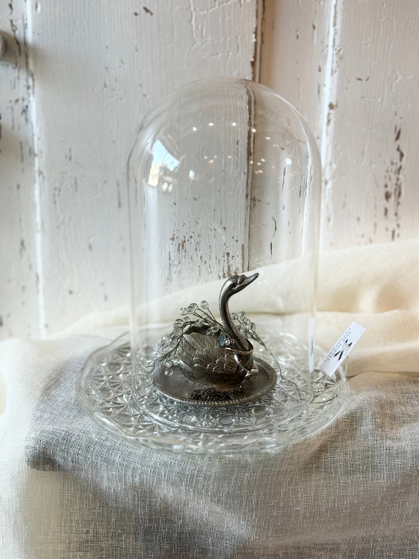 Glass Dome and Plate