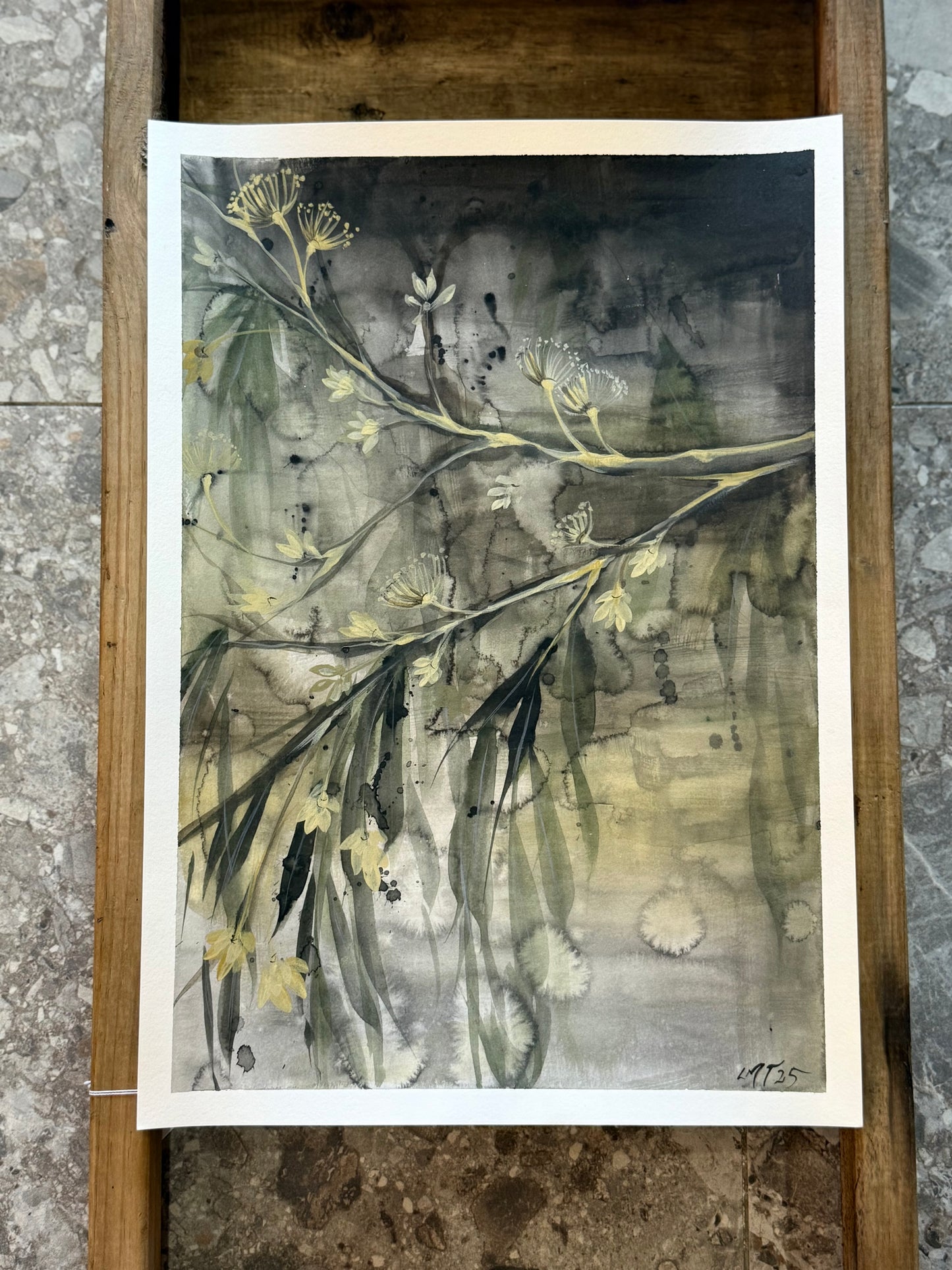 Water Colour; Eucalypt Blossom - unframed - Linda Titow
