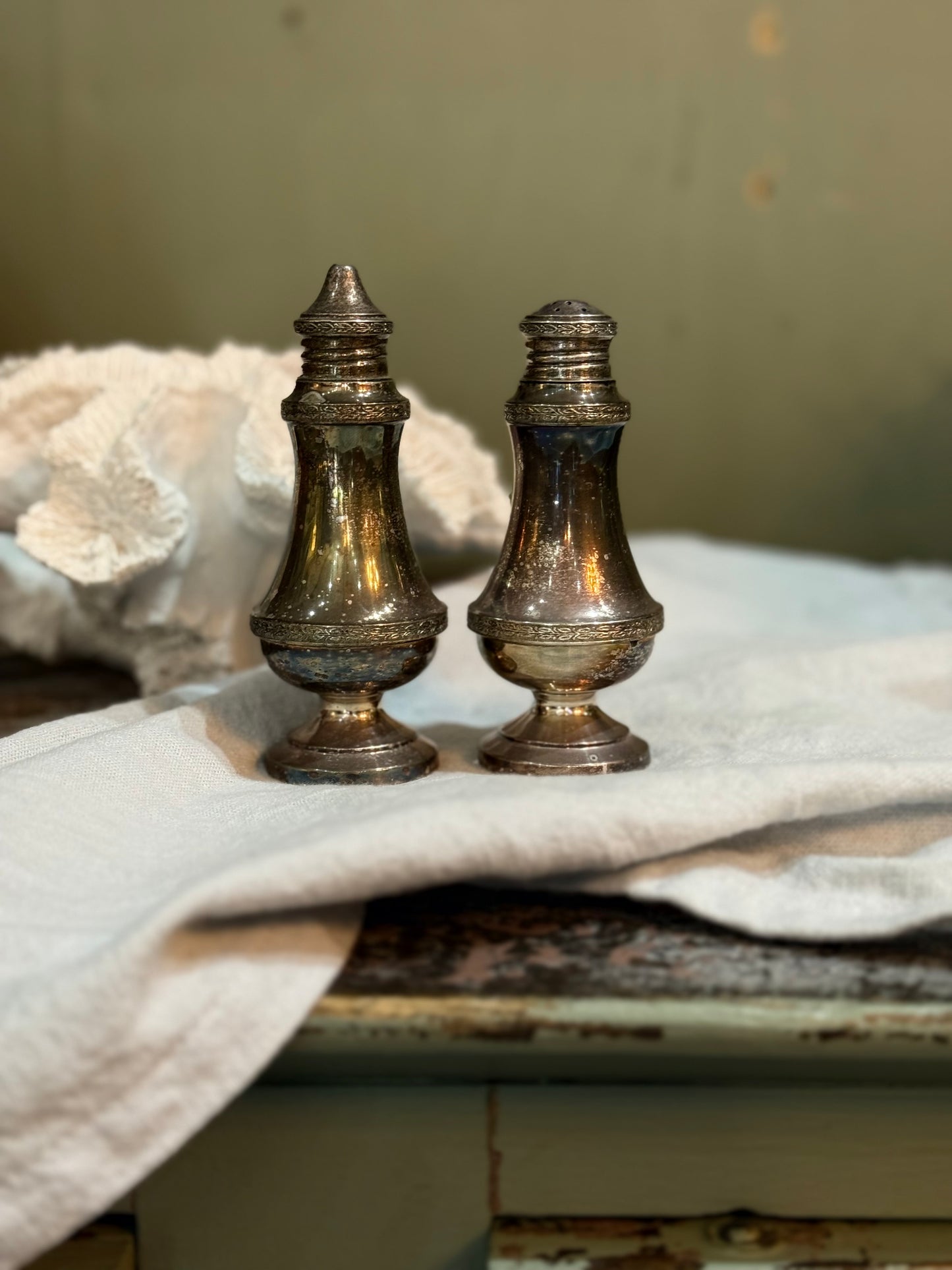 Silver Salt & Pepper Shakers