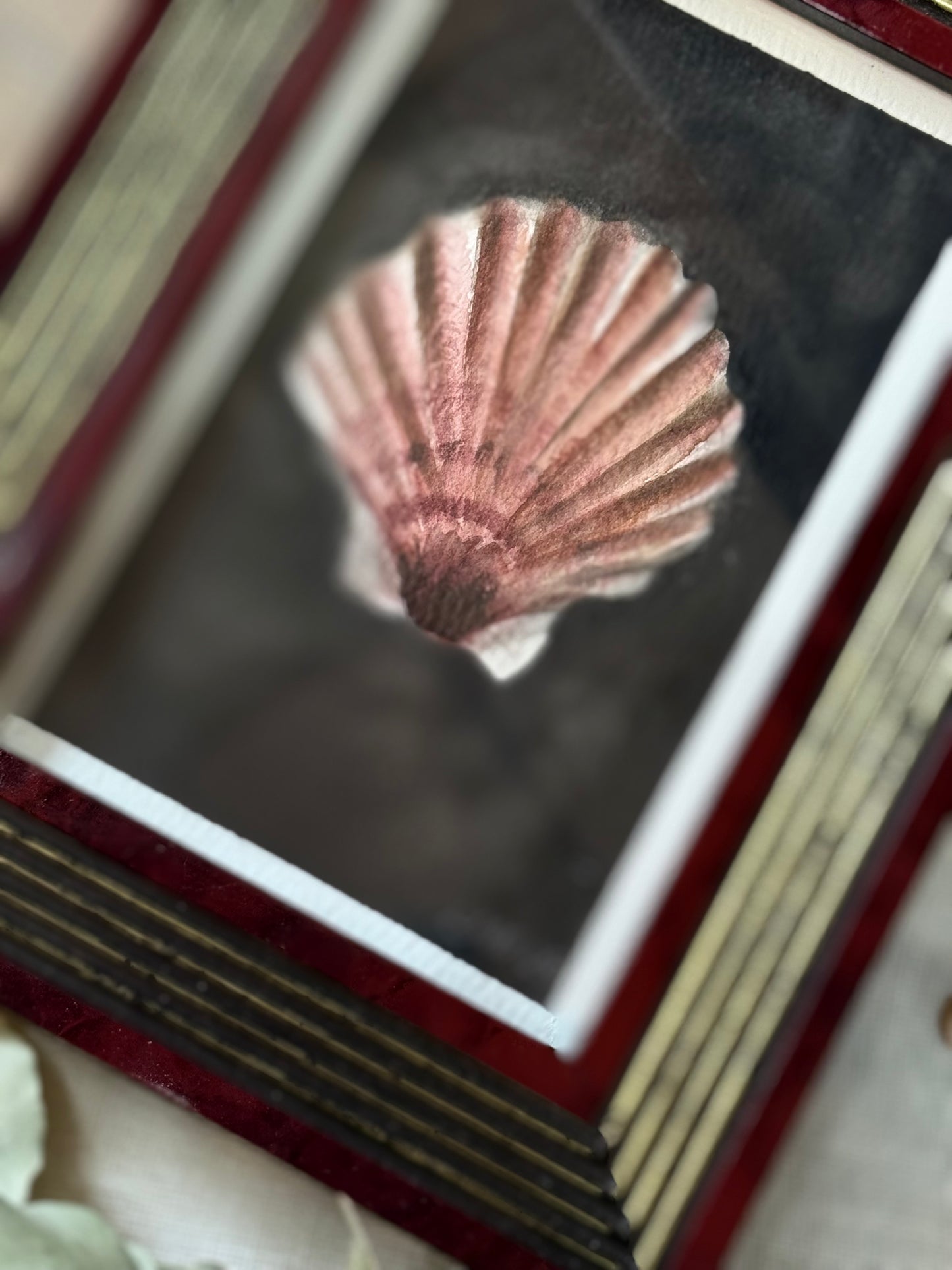 Water Colour; Scallop Shell - Linda Titow