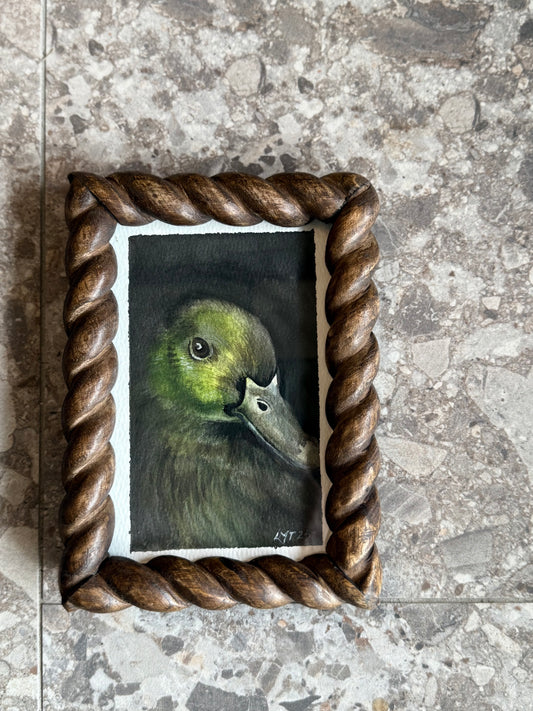 Water Colour; Darling Duck - framed - Linda Titow