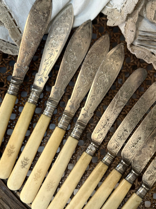 Vintage Bone-Handled Cutlery Set