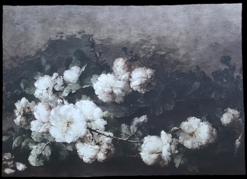 Antiqued Canvas Print - Day Roses Canvas 40 x 30cm