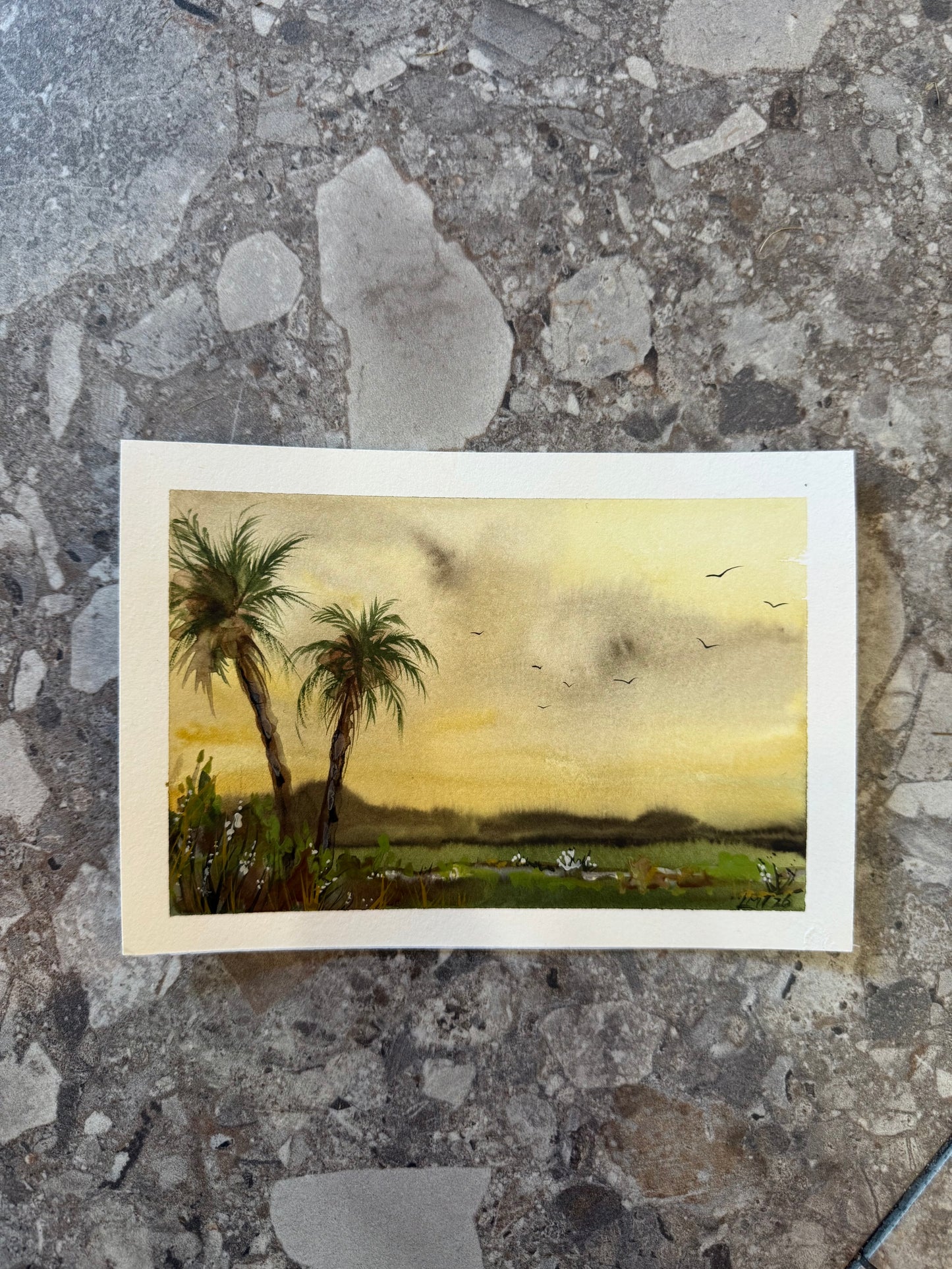 Water Colour; Vintage Palms - unframed - Linda Titow