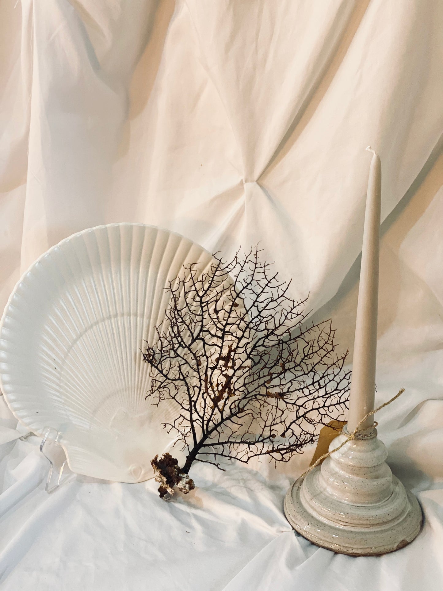 White Wedgewood Clamshell Plate