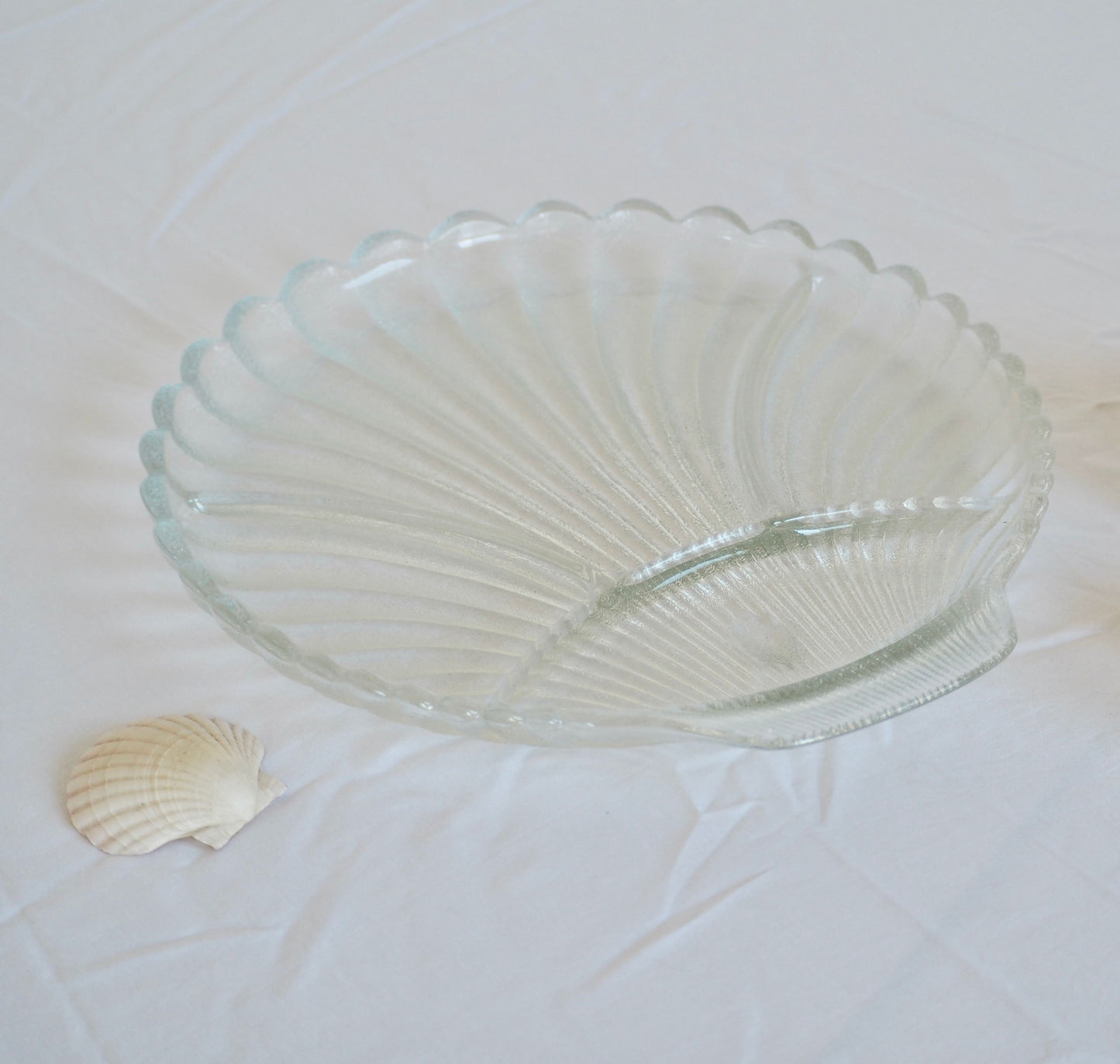 Clam Shell Platter - sectioned