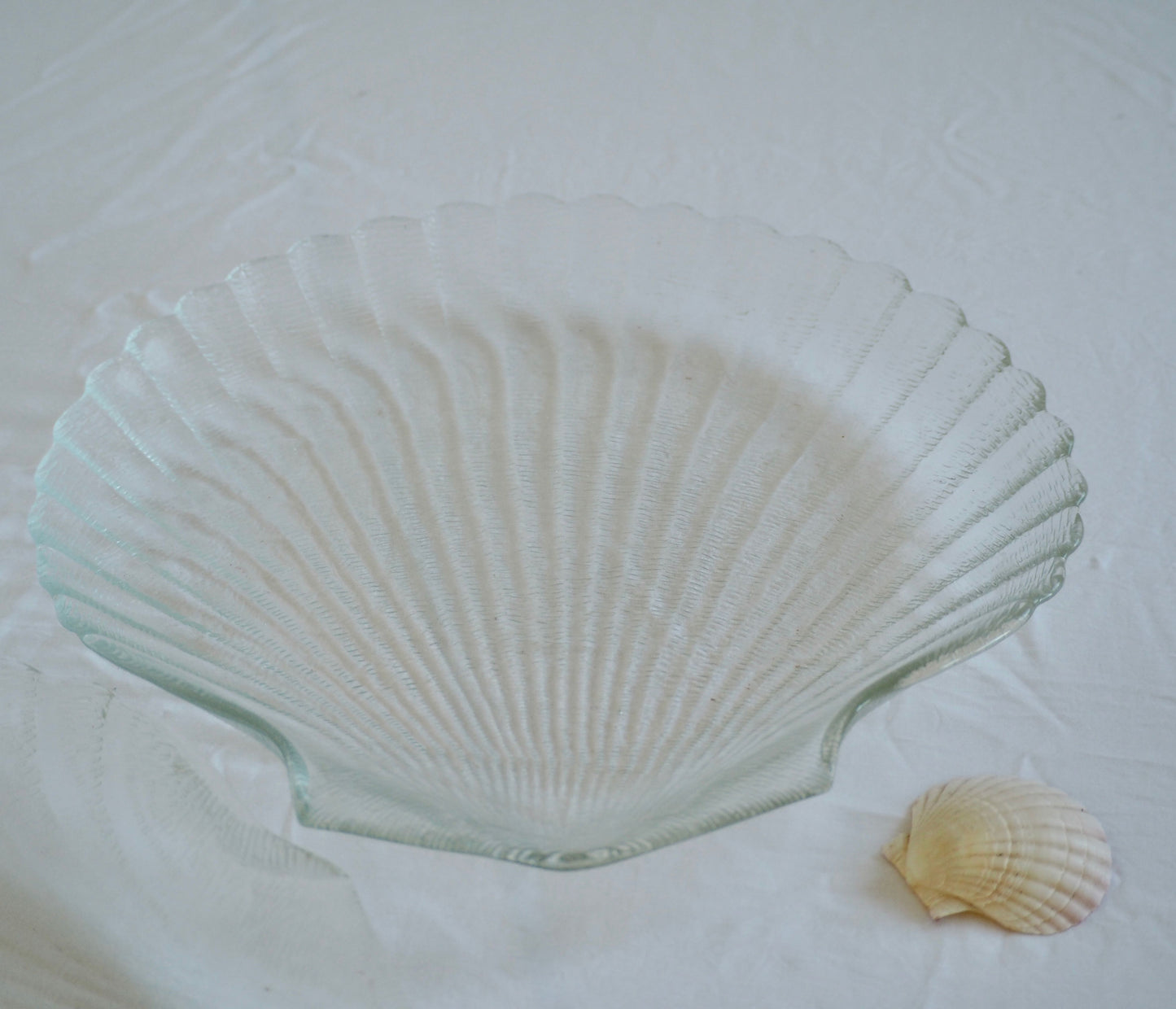 Clam Shell Plates, Set 2