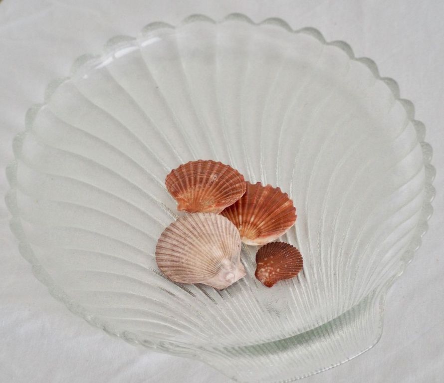 Clam Shell Platter