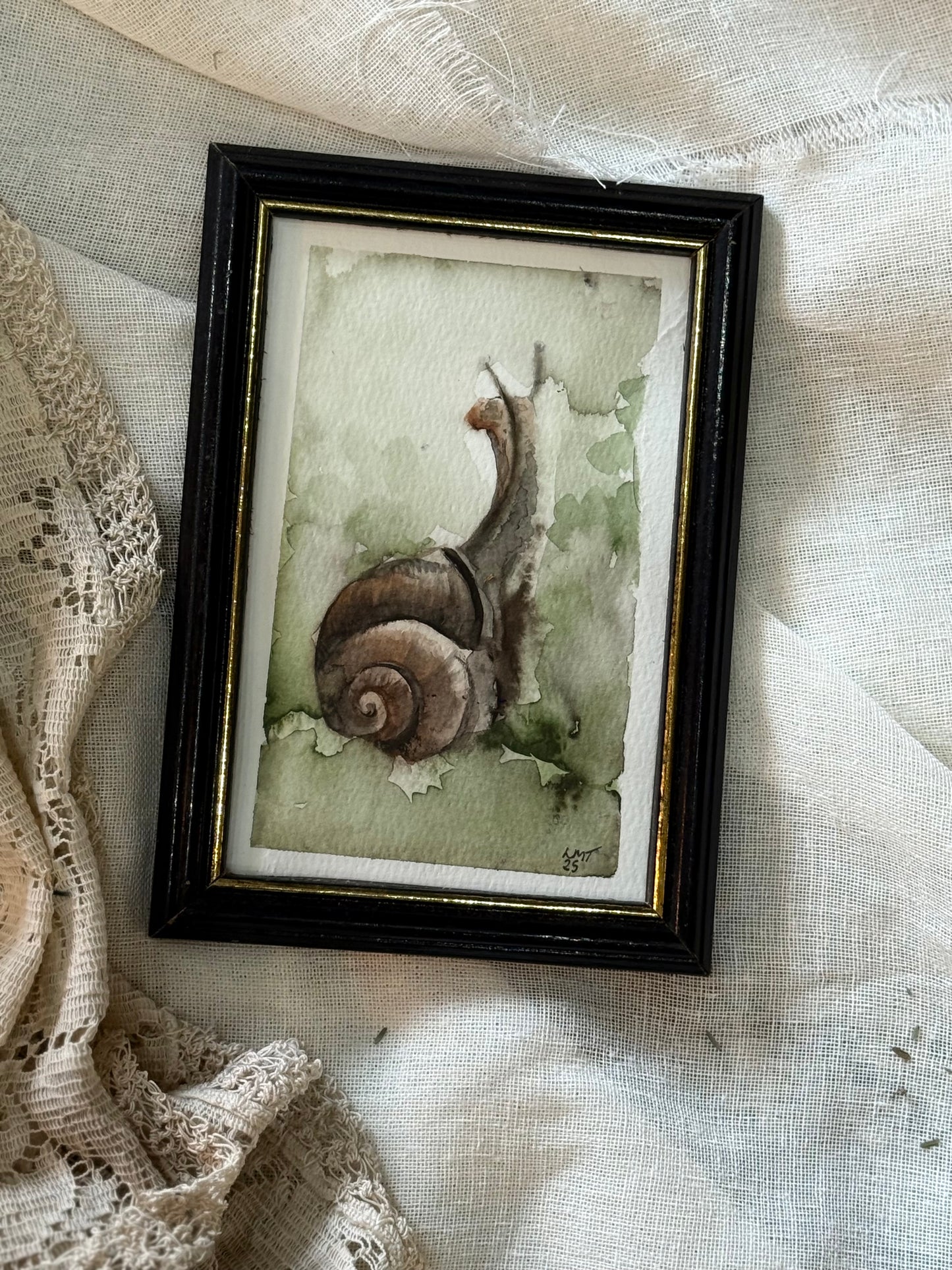 Water Colour; Inquisitive Snail - Linda Titow