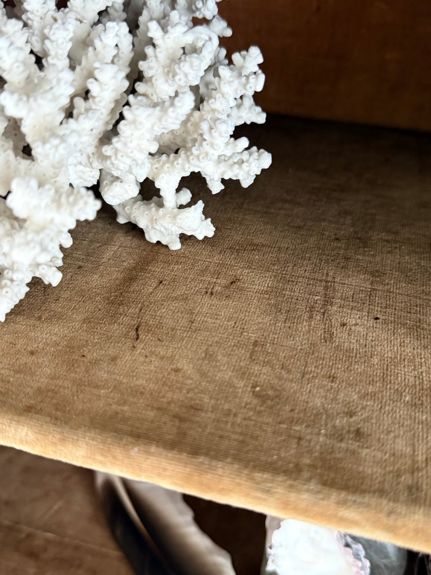 Victorian Pier Curiosity Cabinet