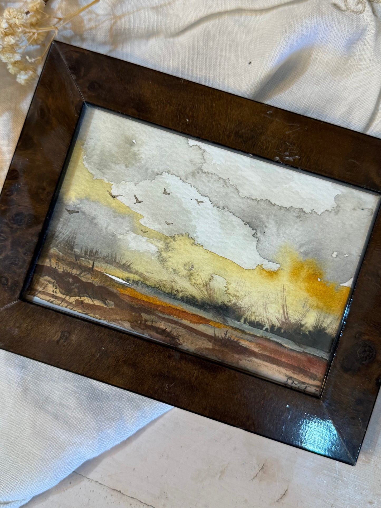 Water Colour; Sunfall Flight - framed - Linda Titow