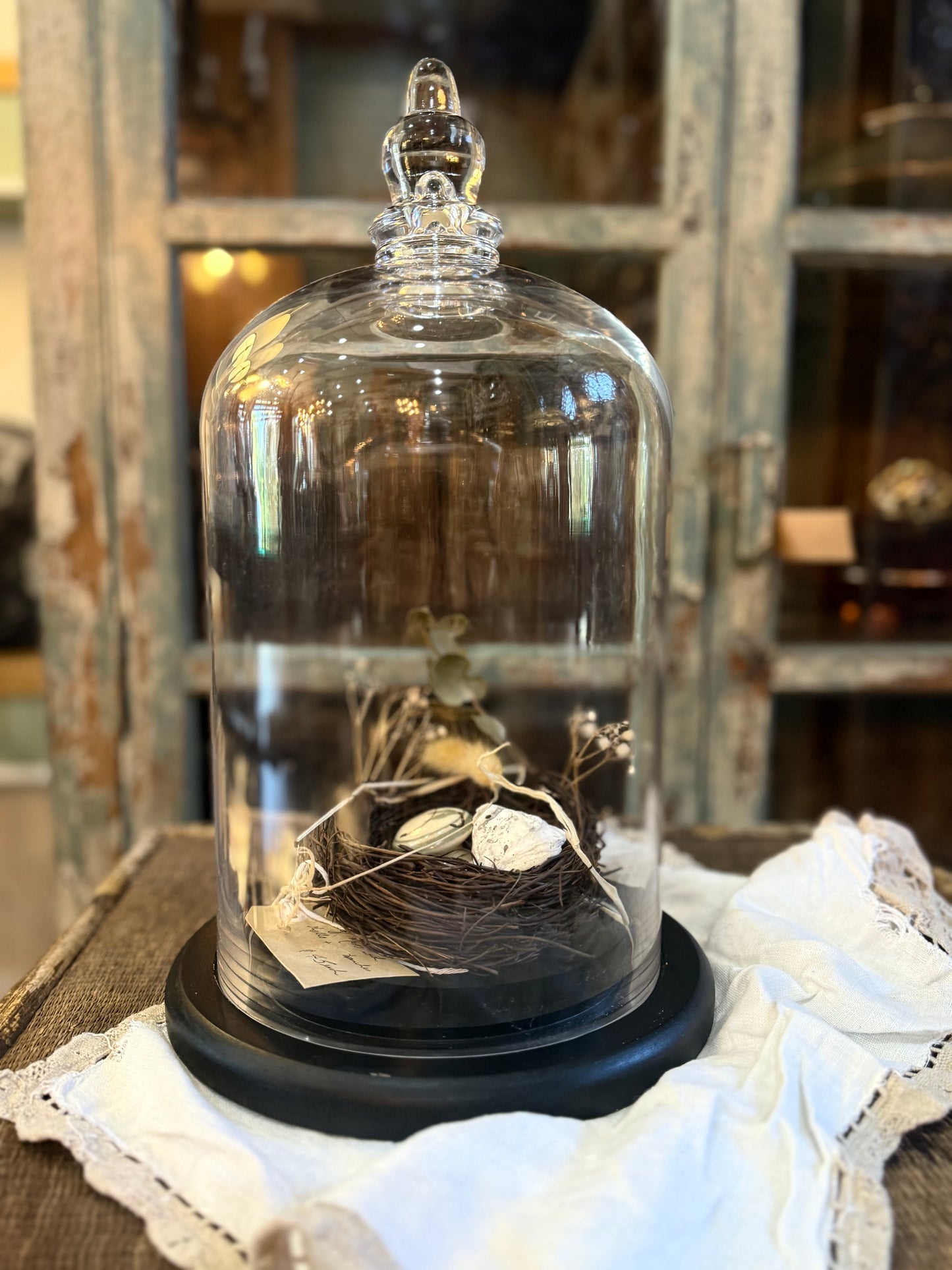 Large Glass Dome Cloche and Base