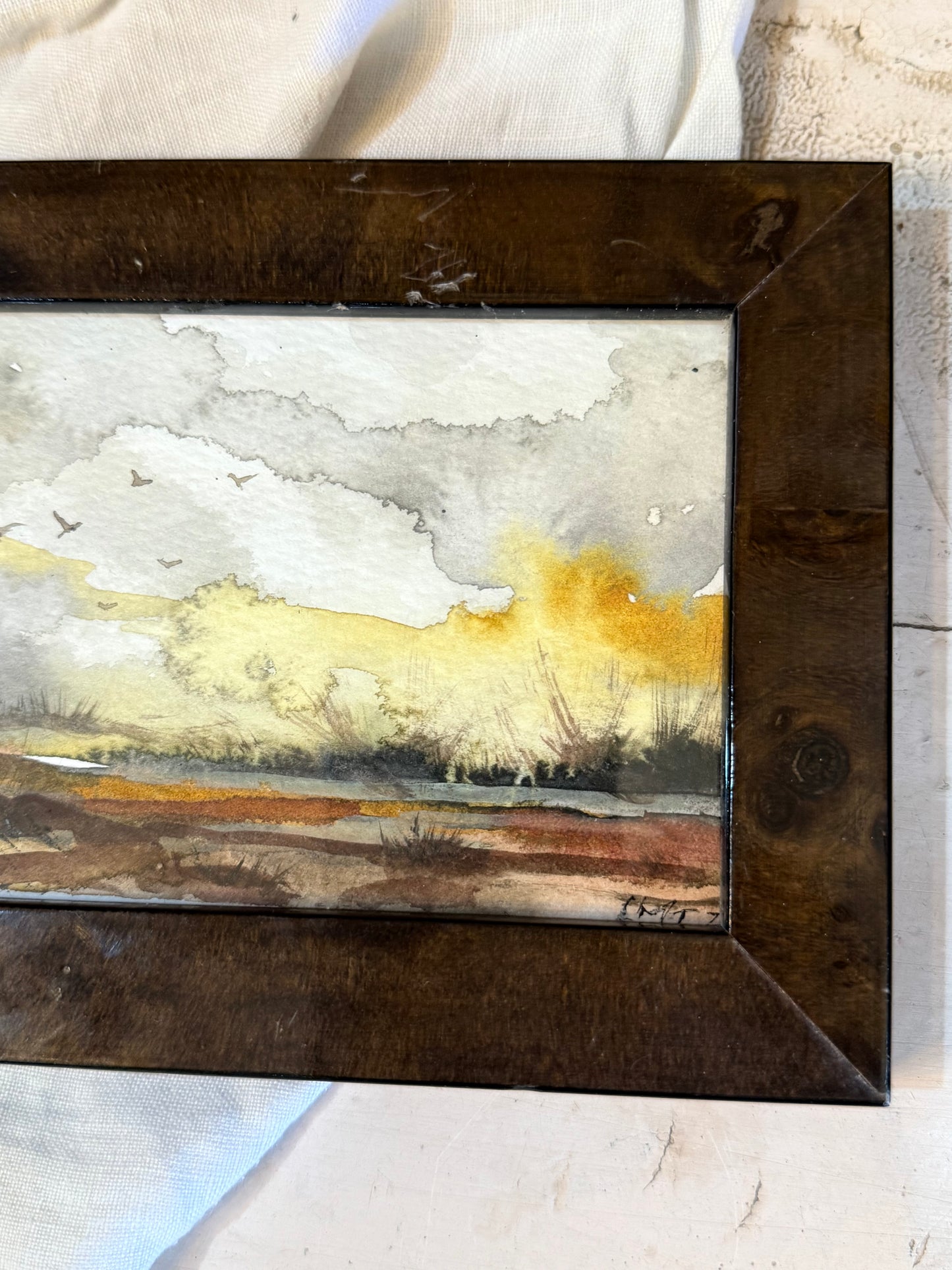 Water Colour; Sunfall Flight - framed - Linda Titow