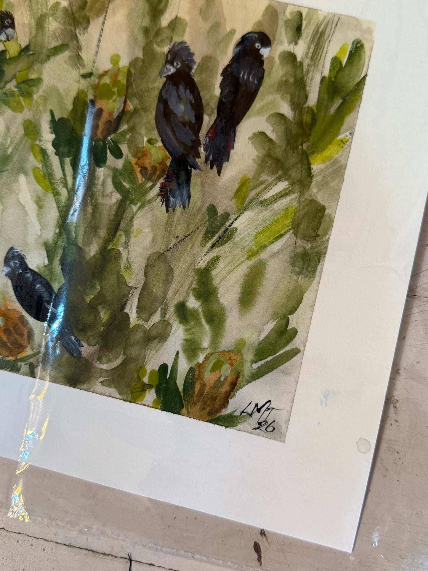 Water Colour; The Black Quartet - unframed - Linda Titow