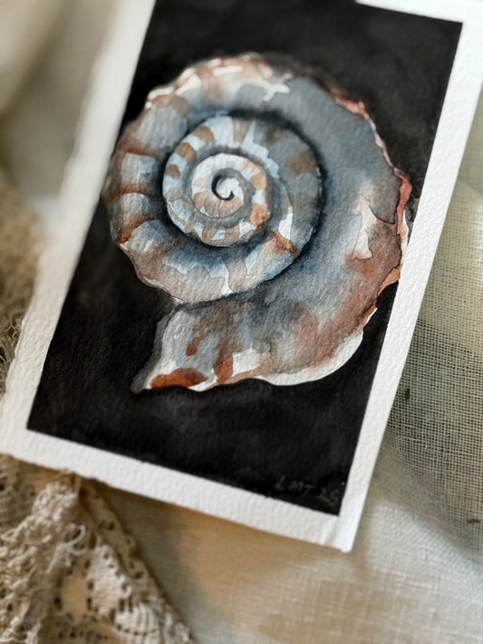Water Colour; Nautilus - unframed - Linda Titow