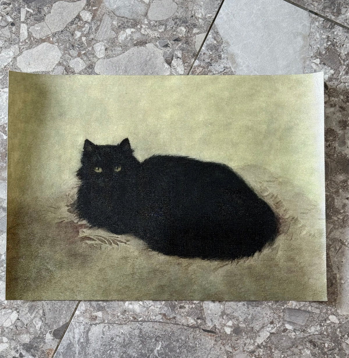 Antiqued Canvas Print - Black Cat 21cm x 30cm