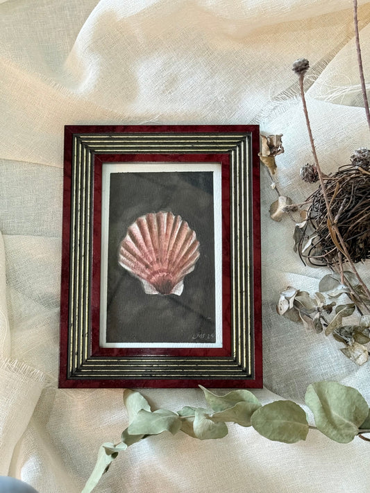 Water Colour; Scallop Shell - Linda Titow