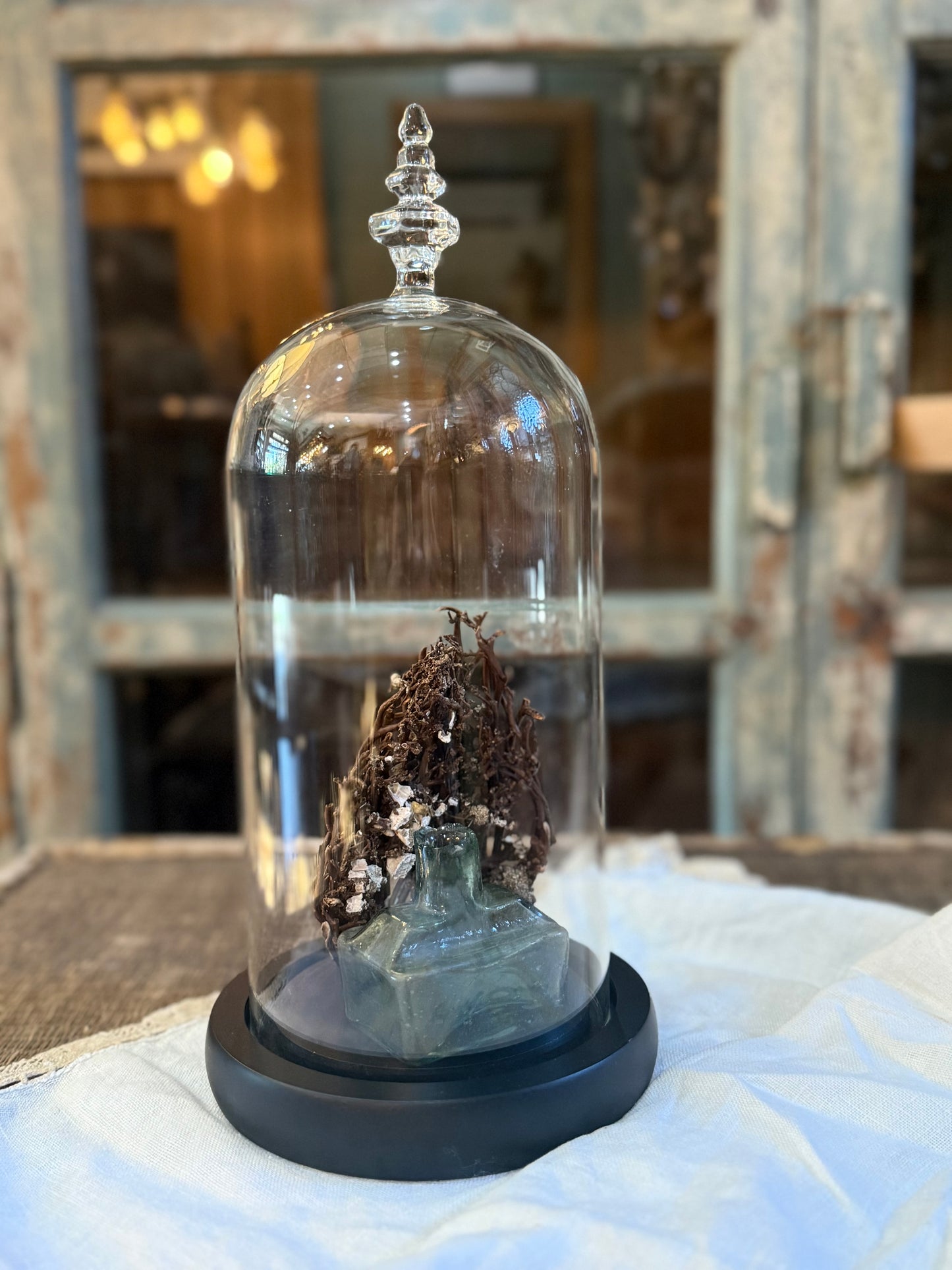 Medium Glass Dome Cloche and Base