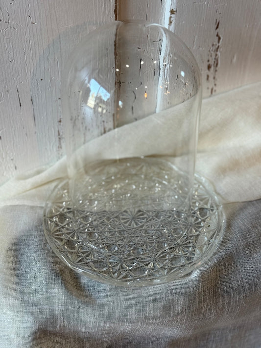 Glass Dome and Plate