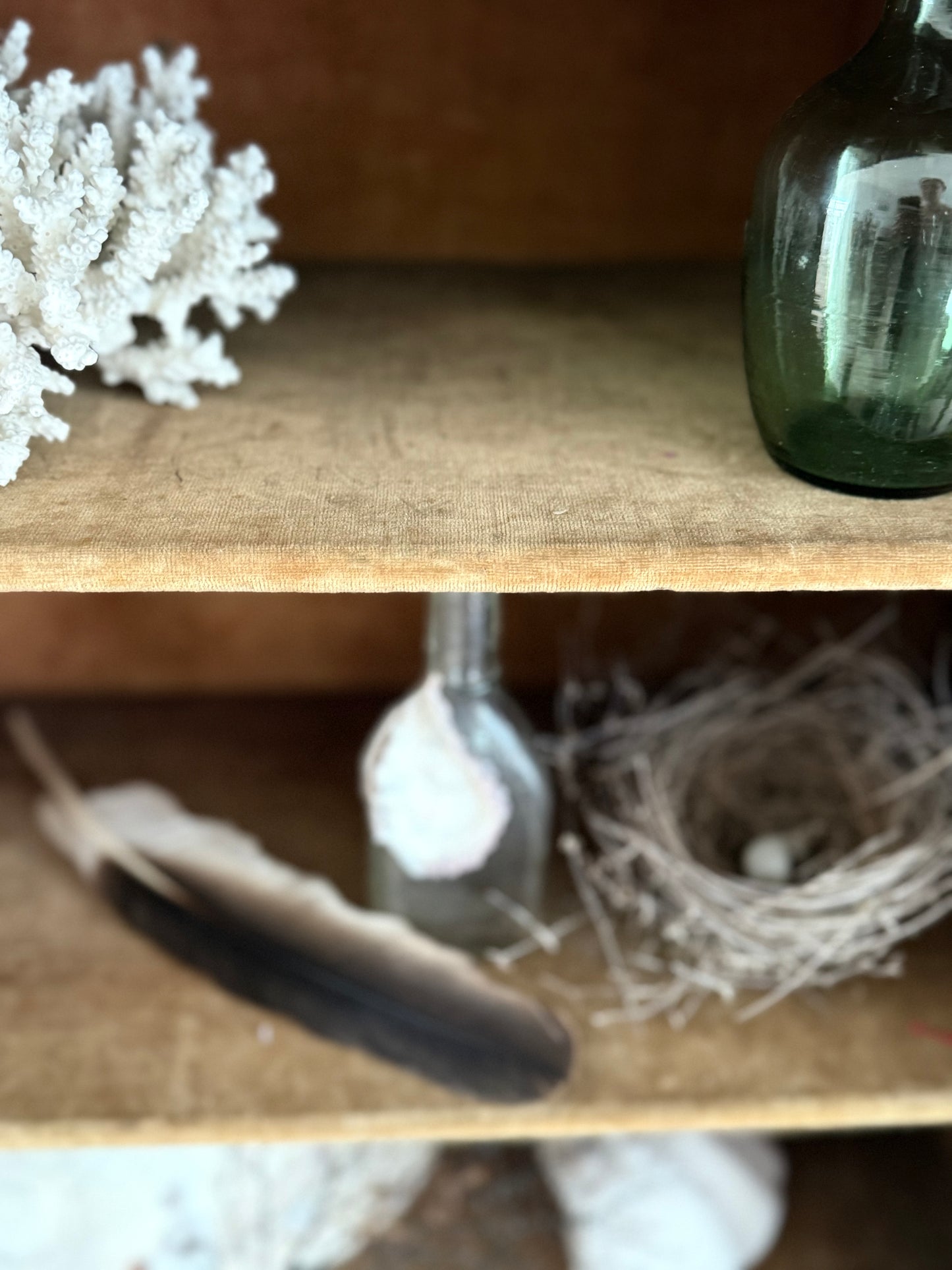 Victorian Pier Curiosity Cabinet