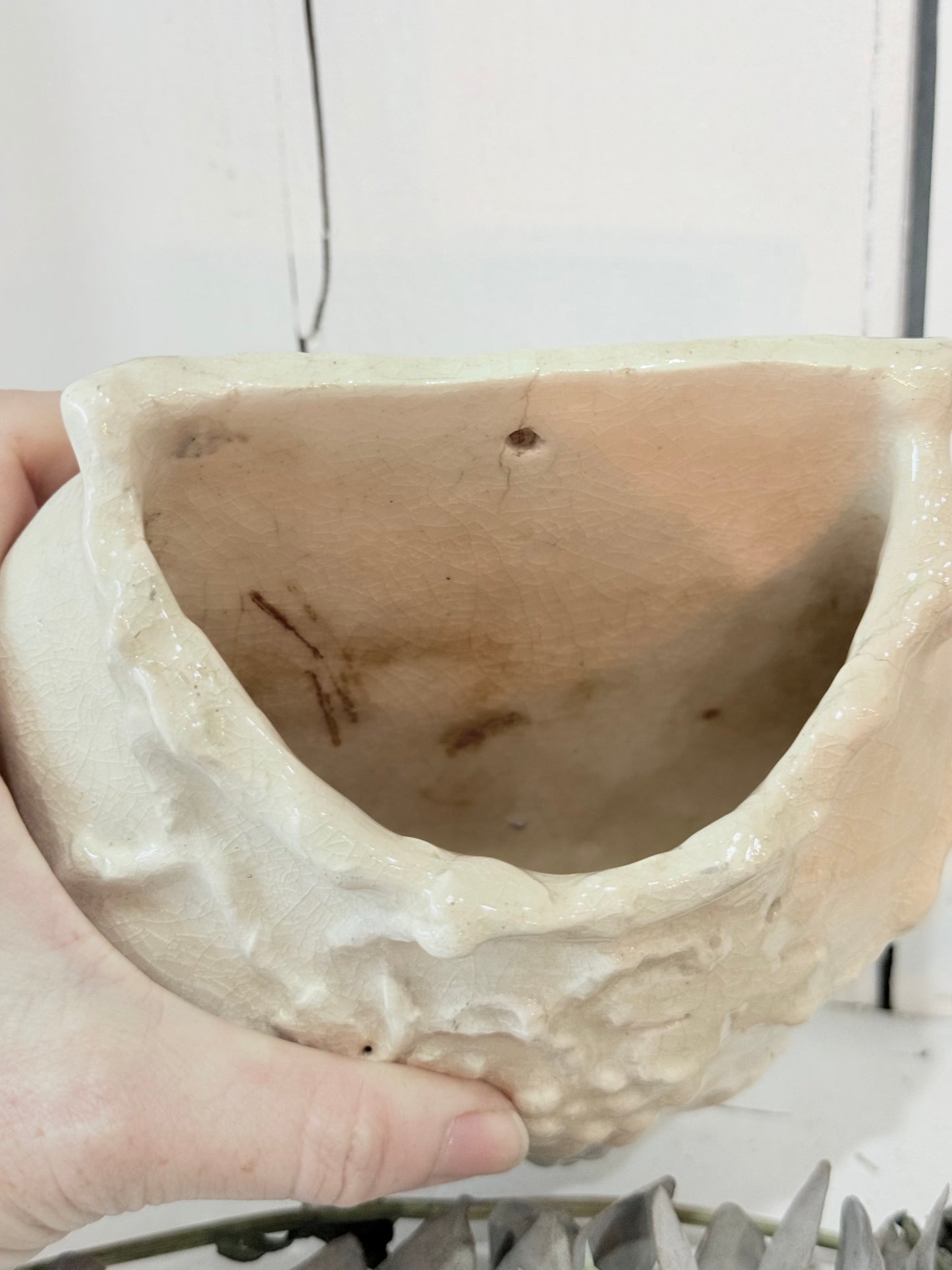 Vintage Wall Vase - Cream Craze