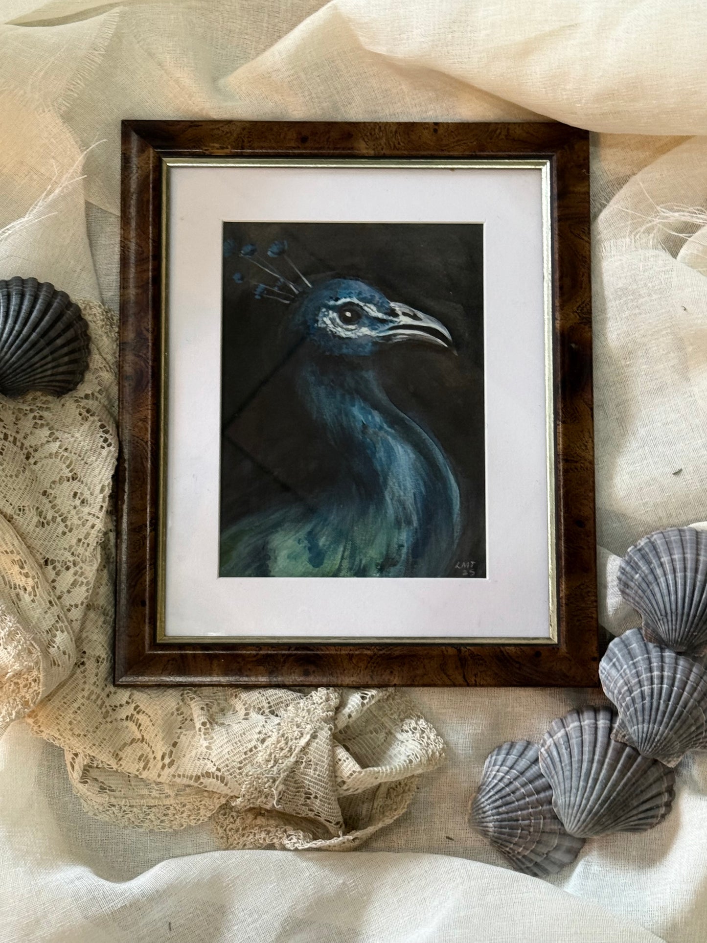 Water Colour; Peacock - Linda Titow
