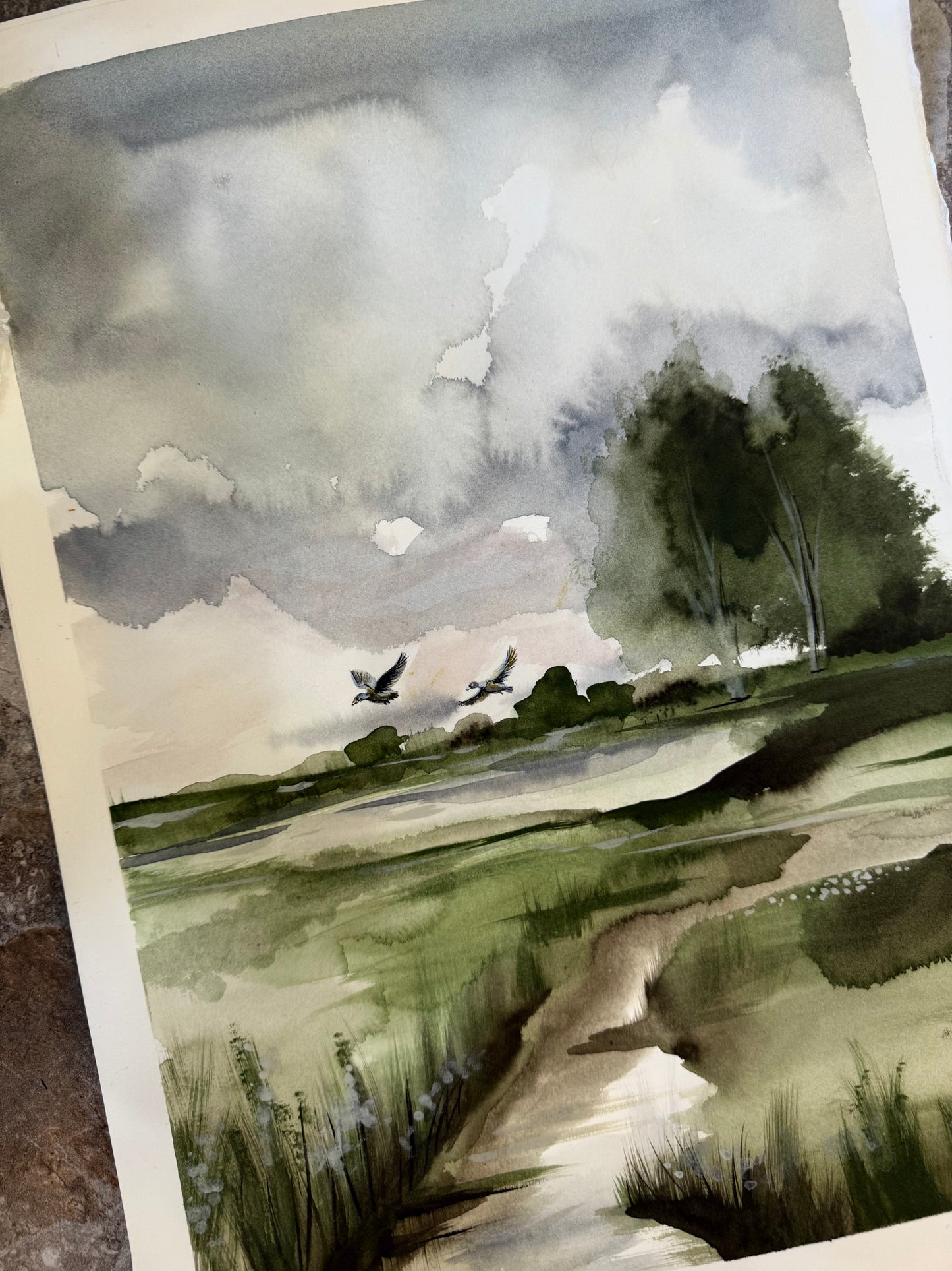 Water Colour; Ducks on the Pond - unframed - Linda Titow