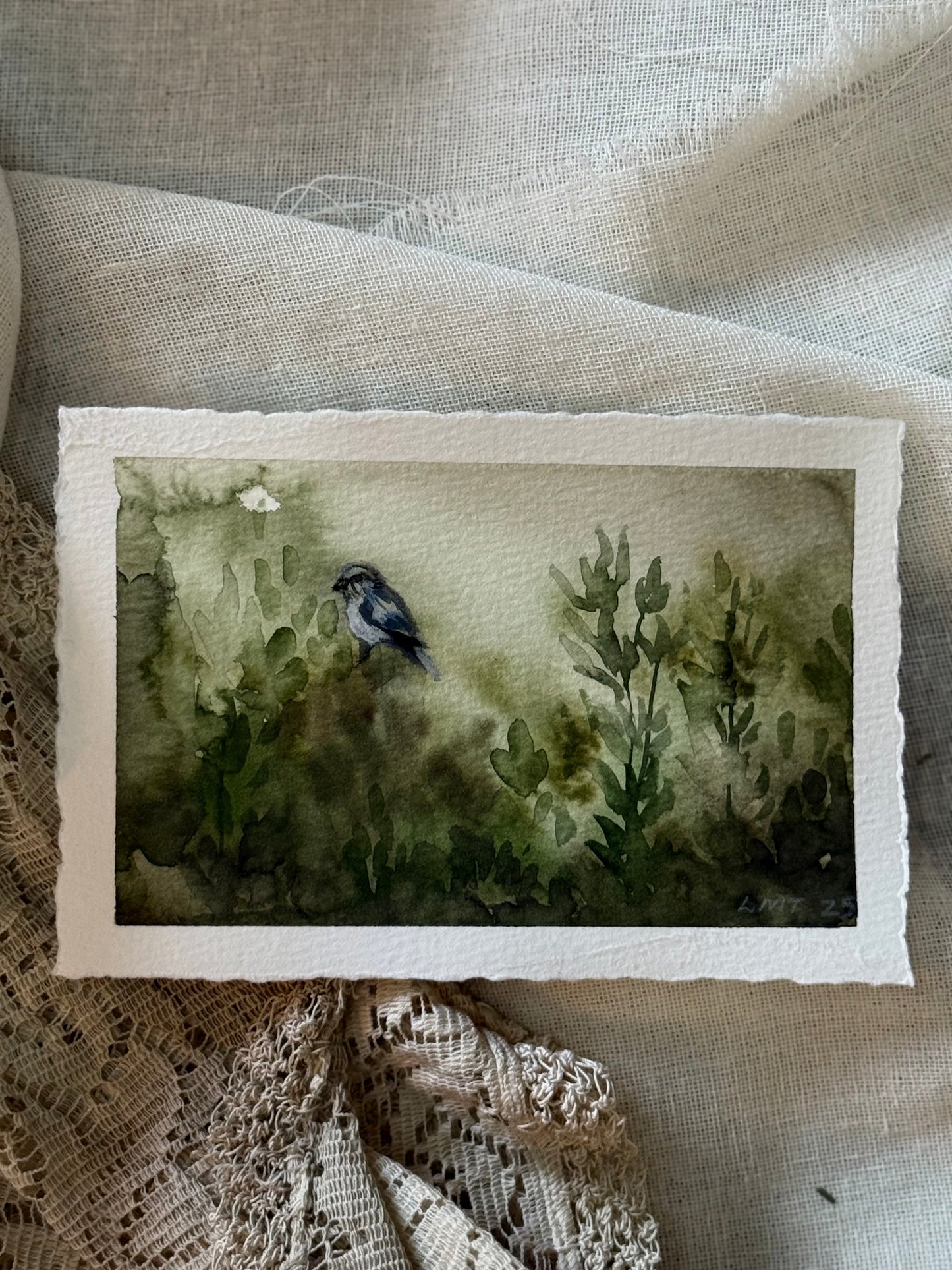 Water Colour; Bush Bird - unframed - Linda Titow