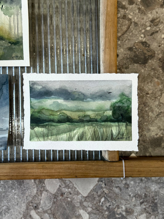 Water Colour; Green Paddocks - unframed - Linda Titow