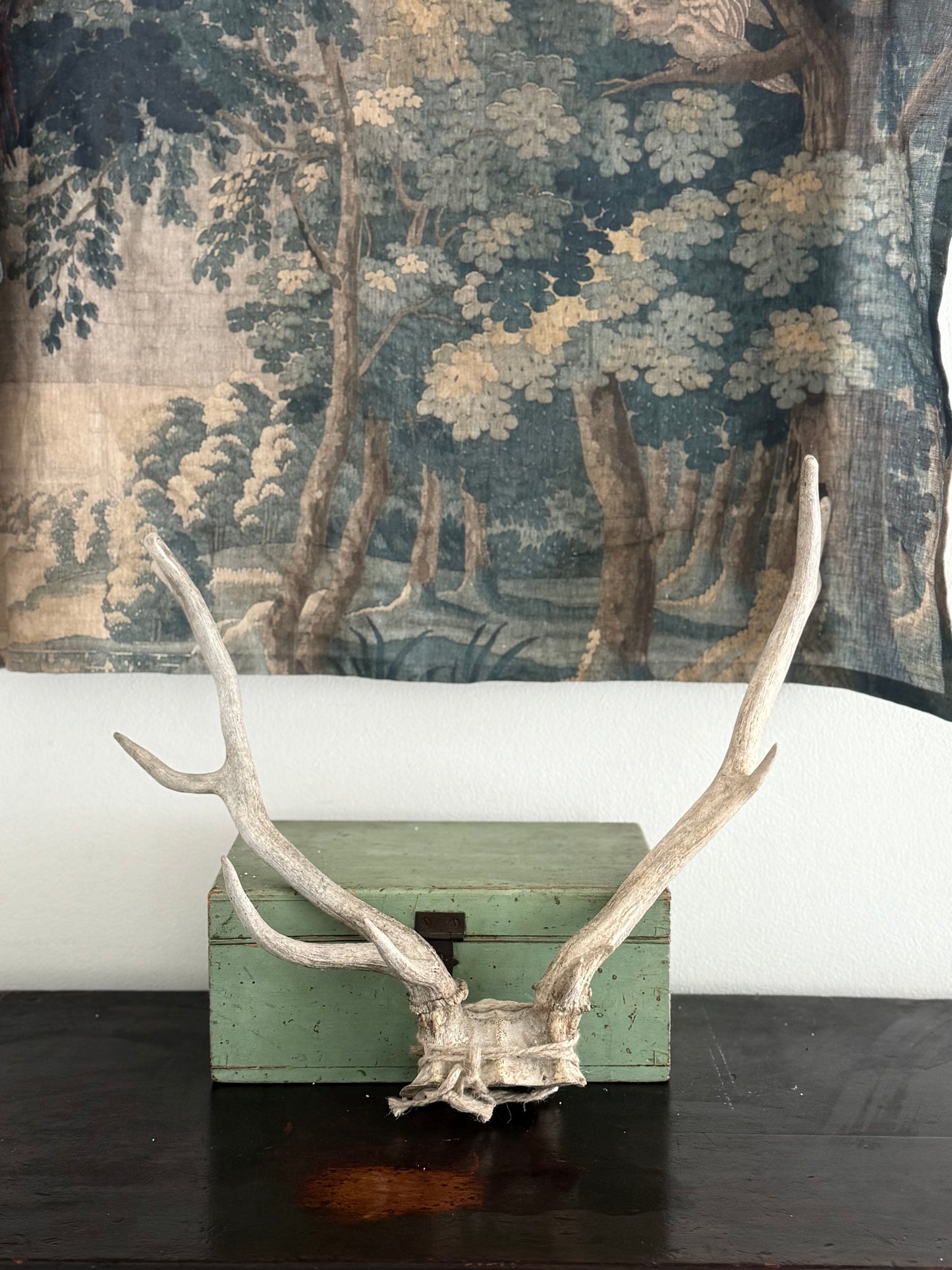 Antique Antlers