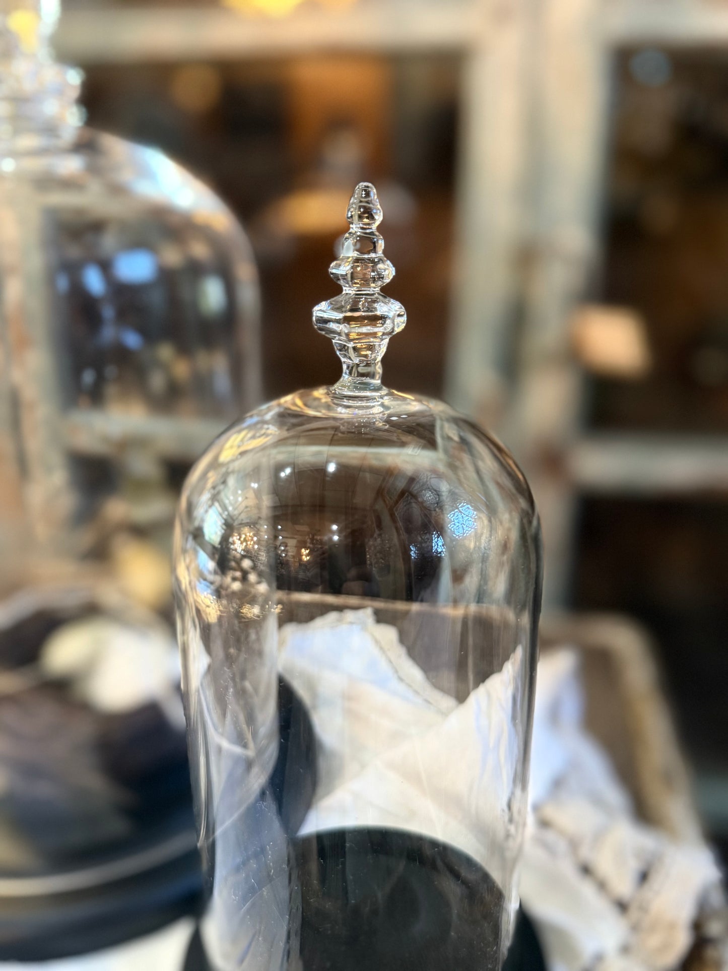Medium Glass Dome Cloche and Base