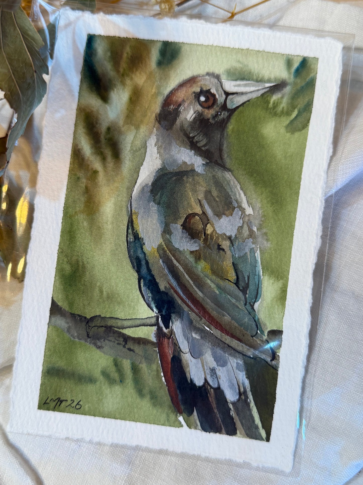 Water Colour; Between Flight & Forest - unframed - Linda Titow