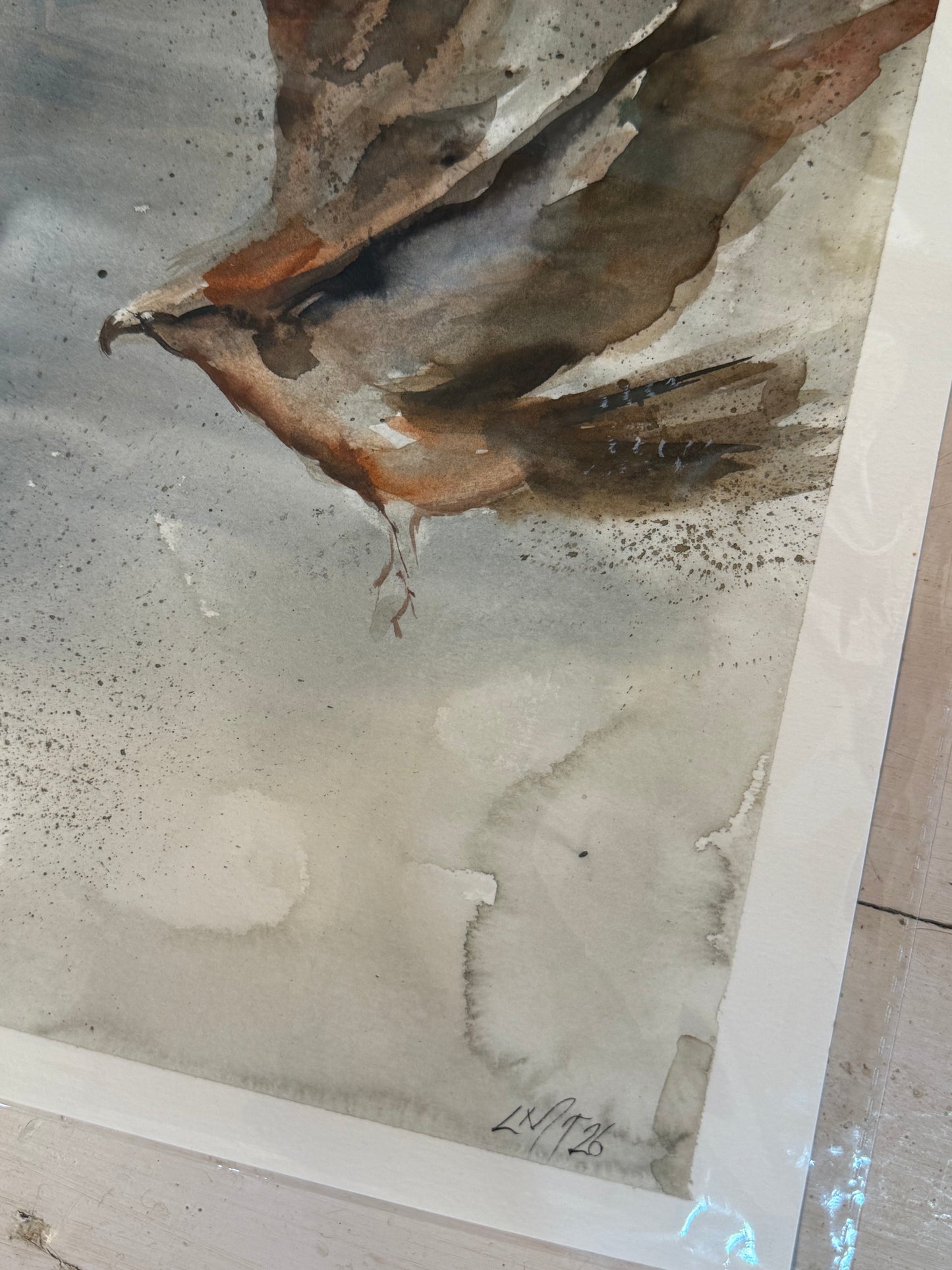 Water Colour; Wings of Strength - unframed - Linda Titow