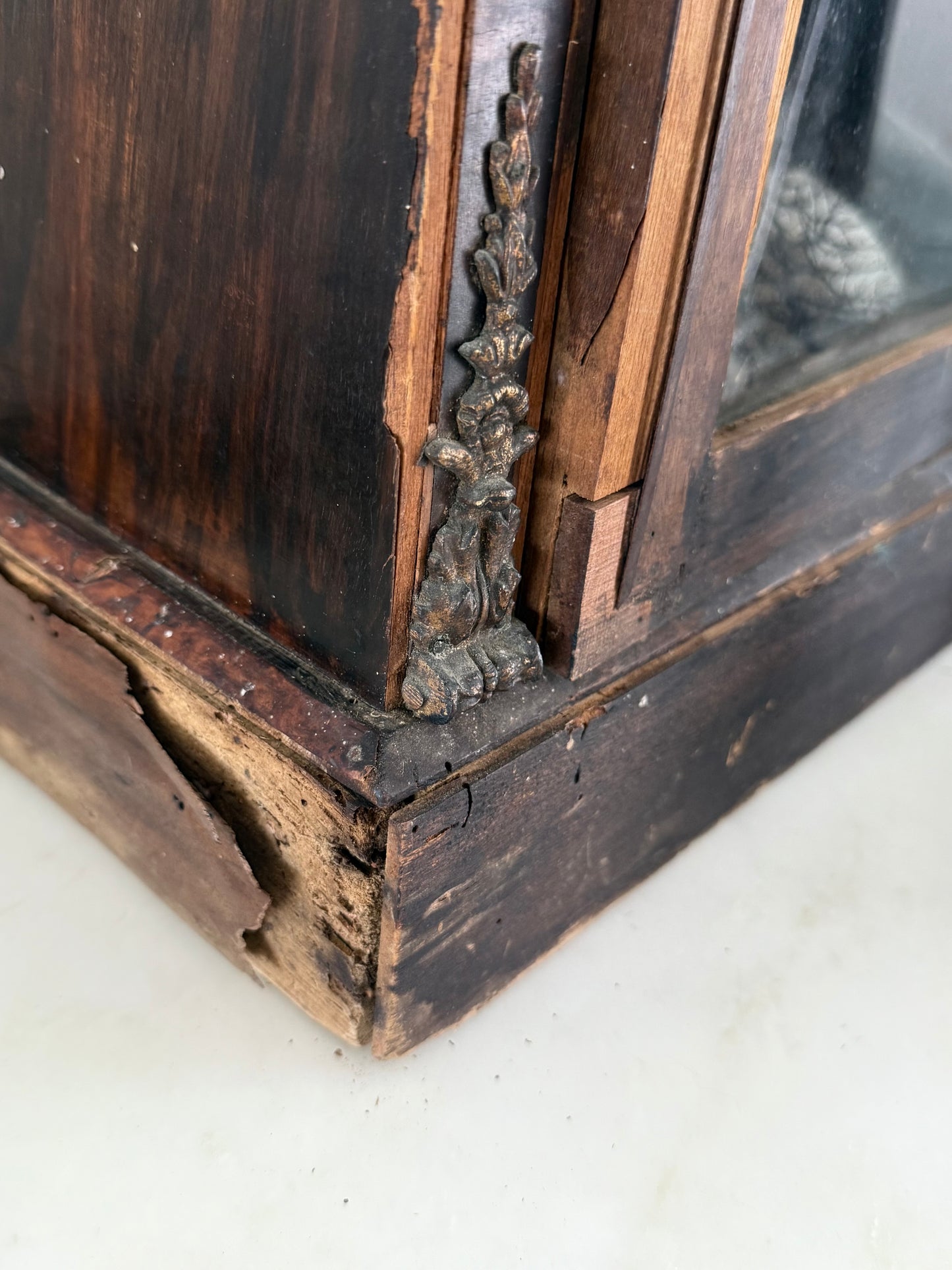 Victorian Pier Curiosity Cabinet