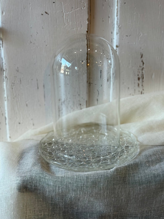 Glass Dome and Plate
