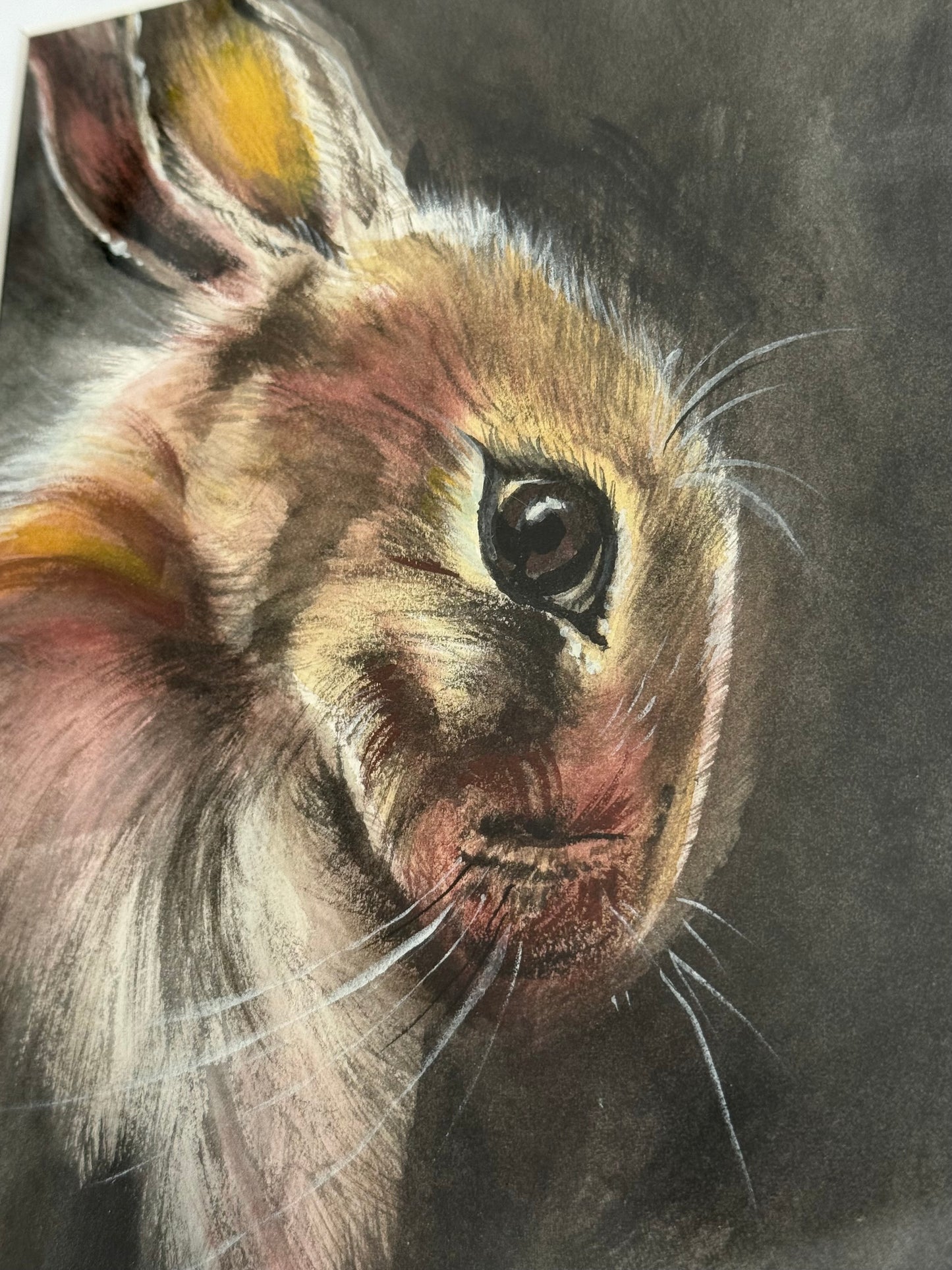 Water Colour Bunny Eyes - Linda Titow