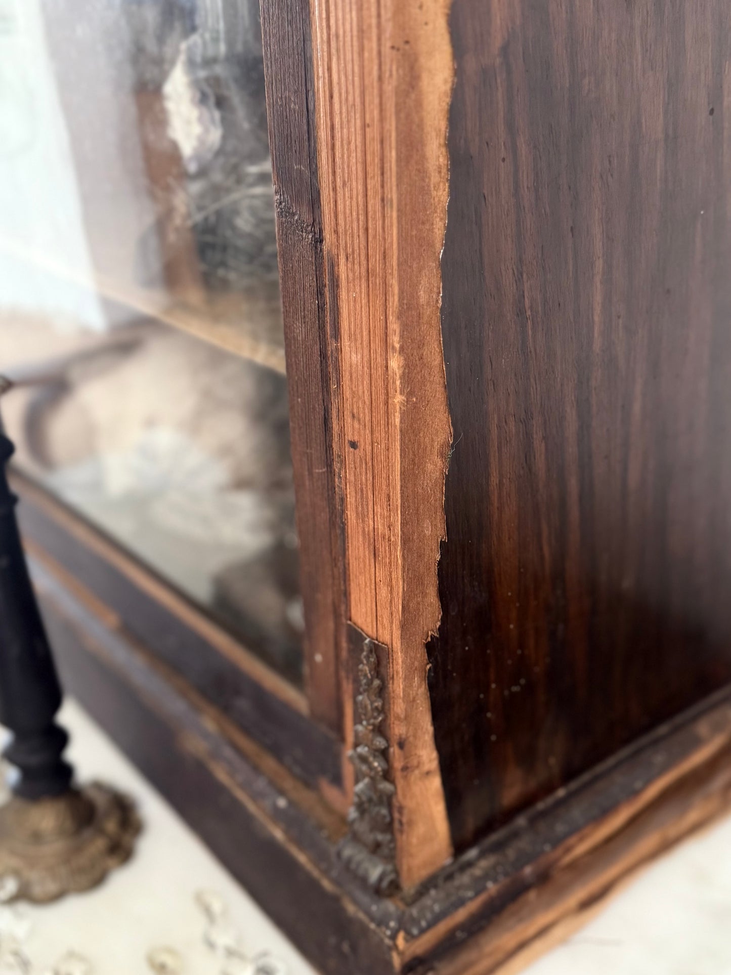 Victorian Pier Curiosity Cabinet