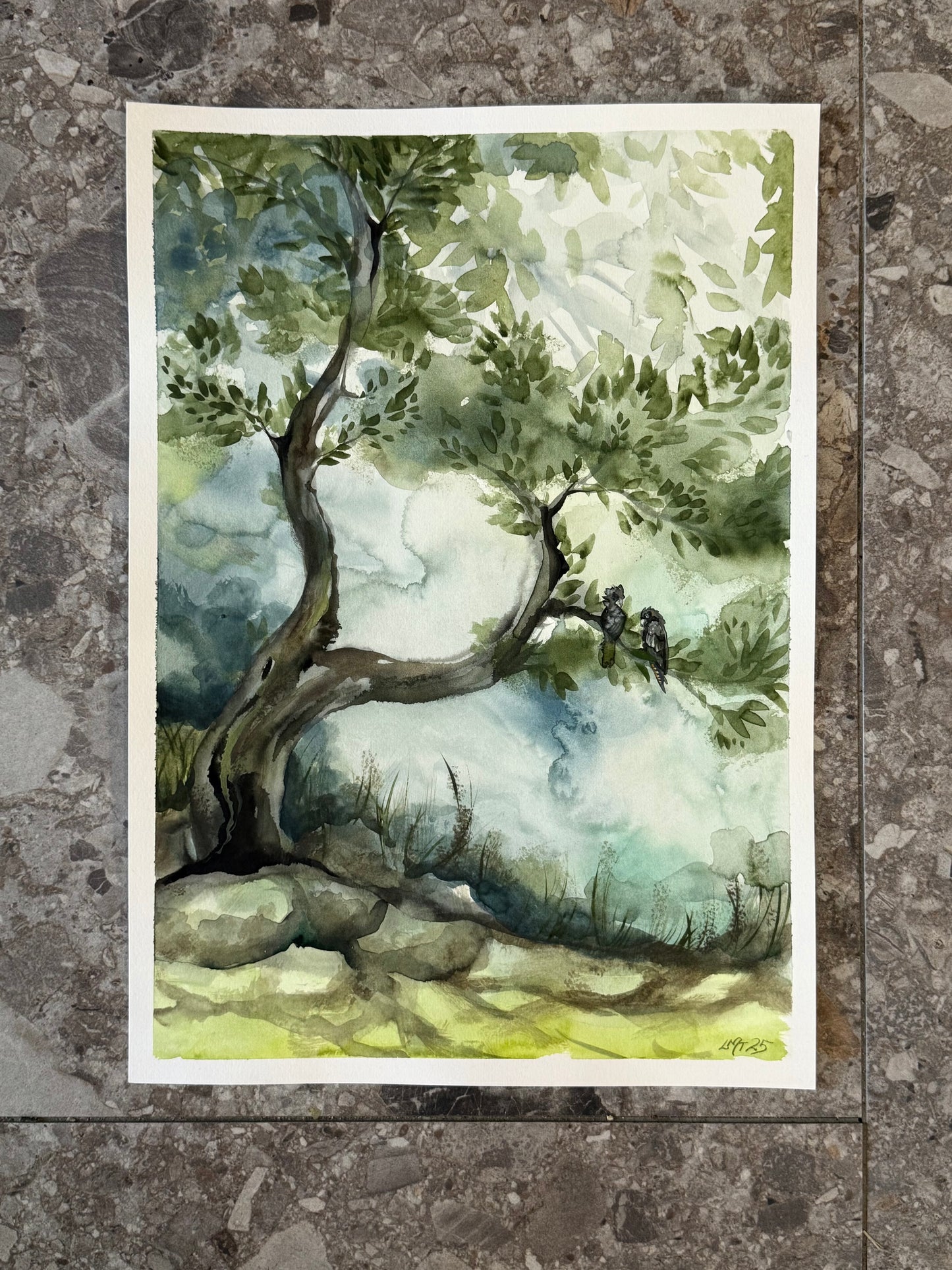 Water Colour; Tree Story - unframed - Linda Titow