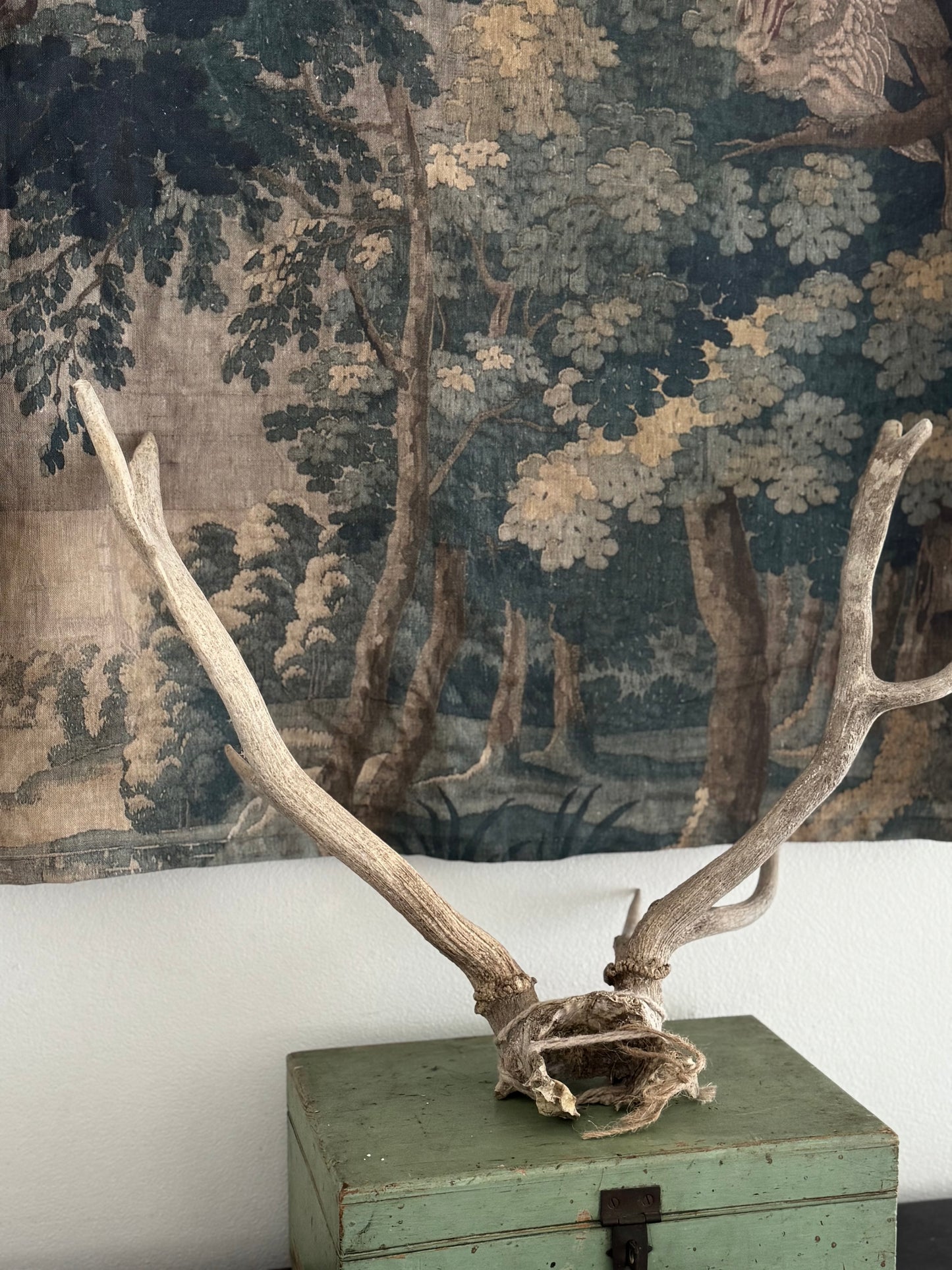 Antique Antlers